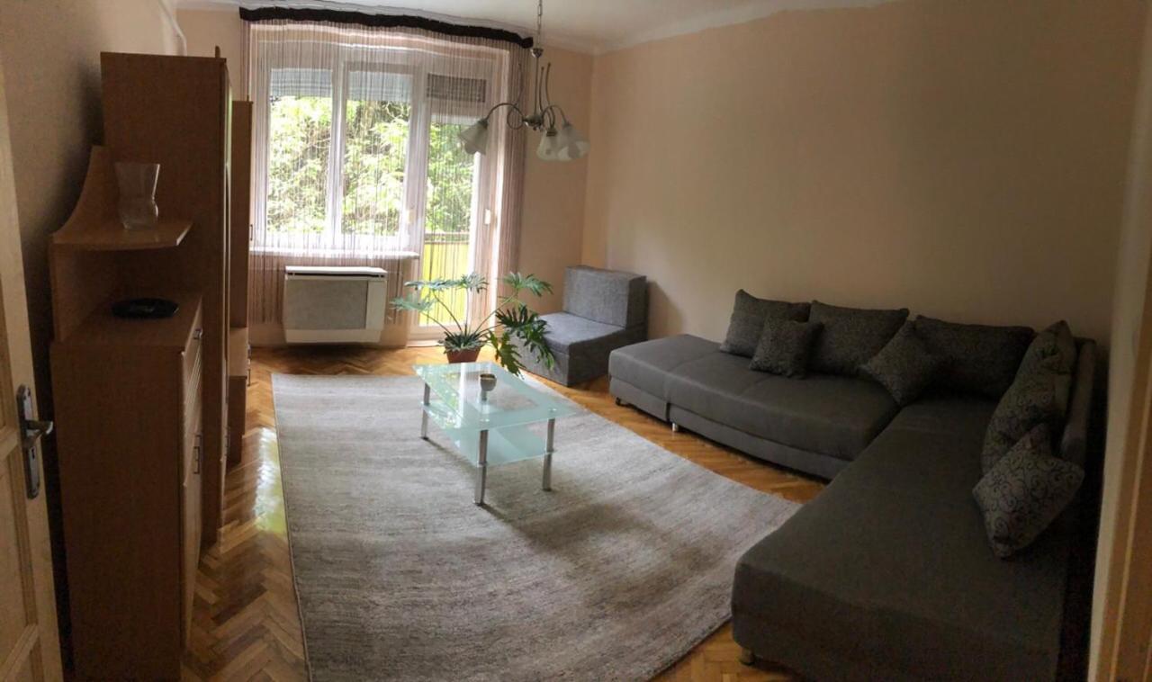 Arany Apartman Kaposvár view 4