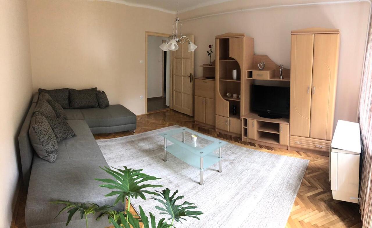 Arany Apartman Kaposvár view 3