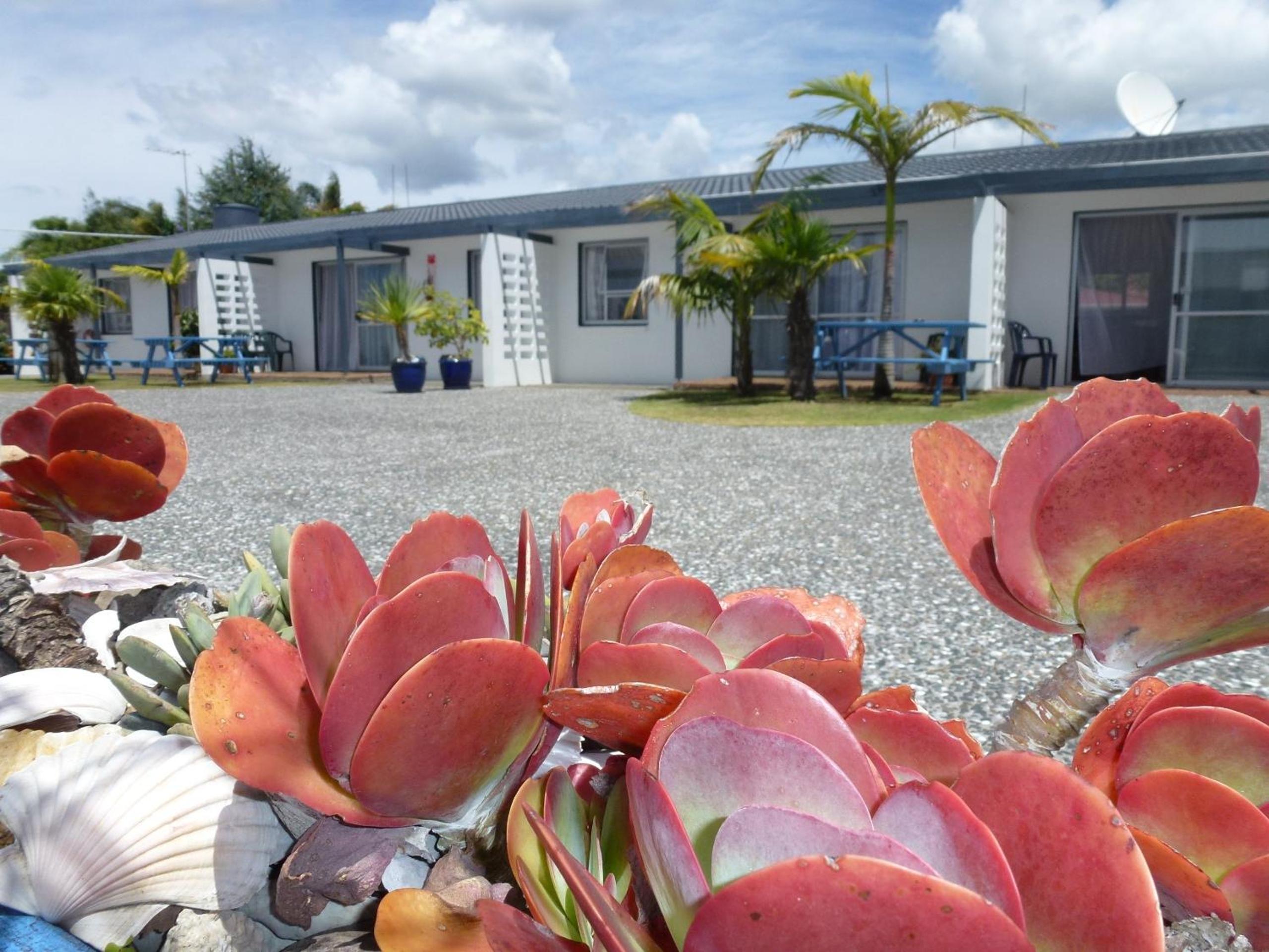 Mana-Nui Motel - main view