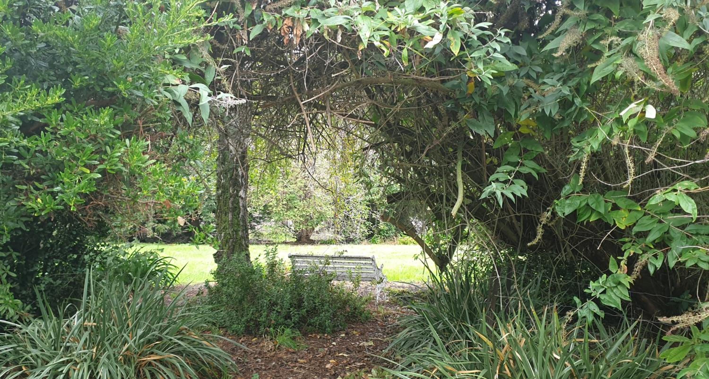 Photo 11