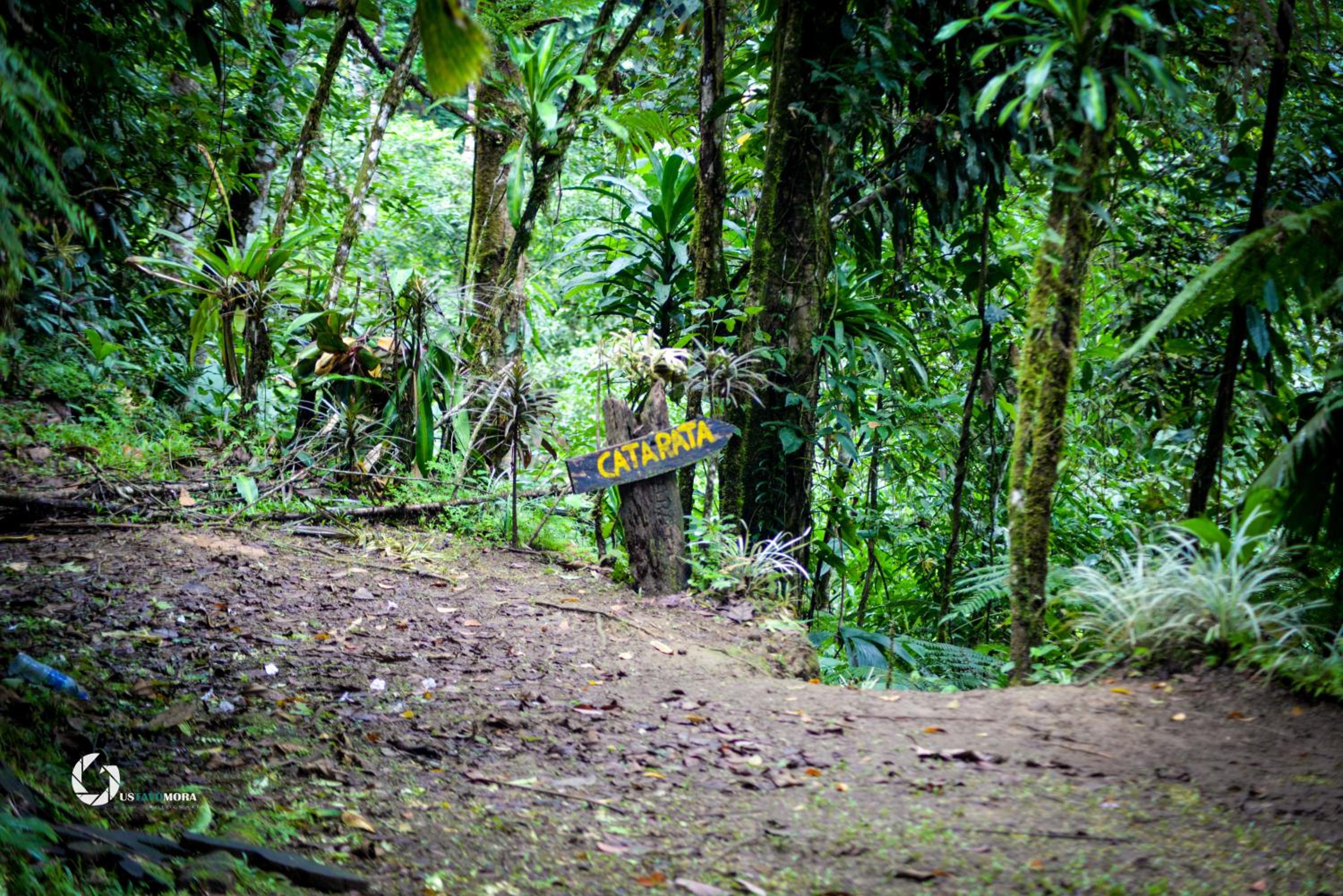 Princesa de la Luna EcoLodge 113