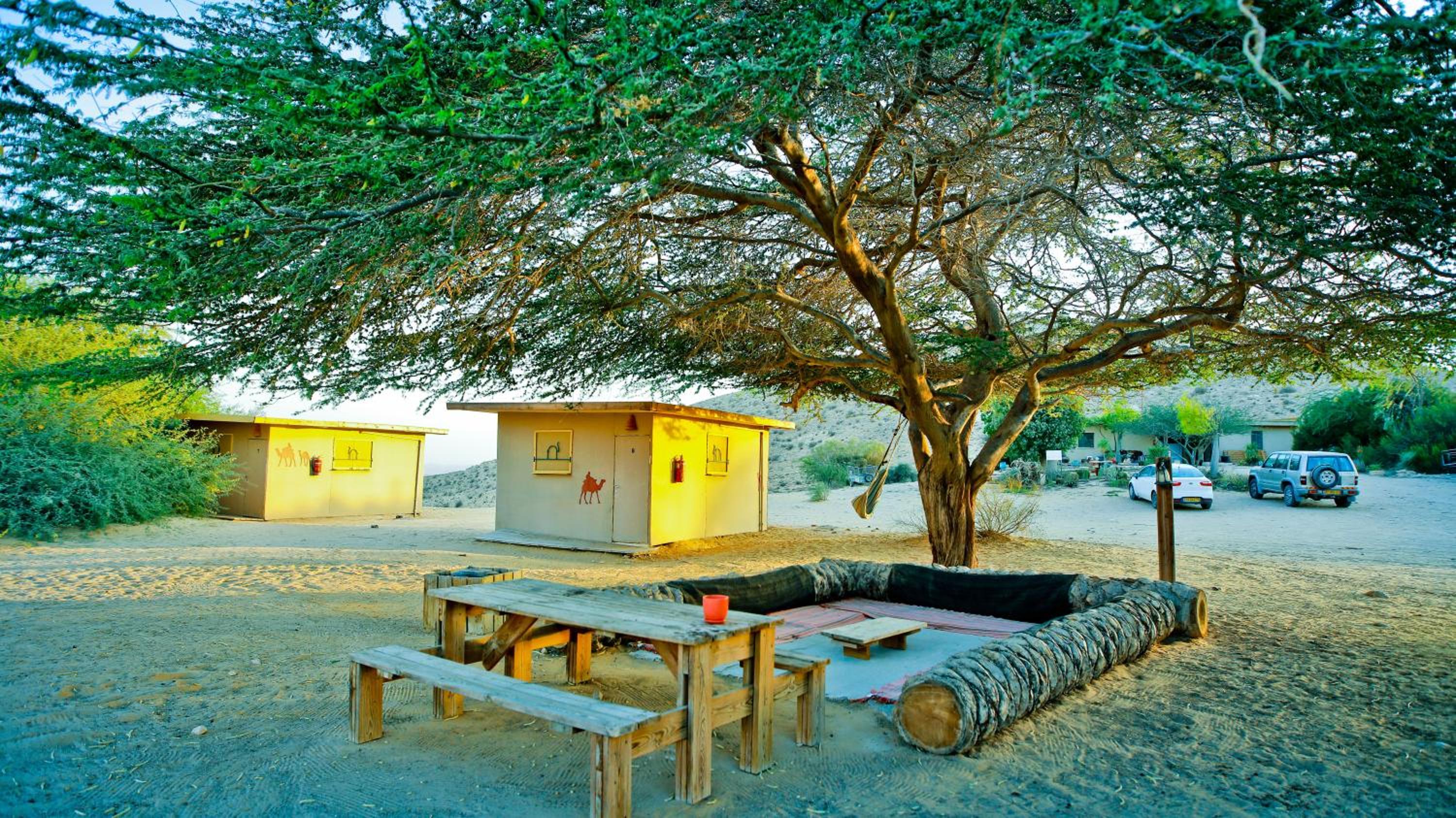 Negev Camel Ranch
