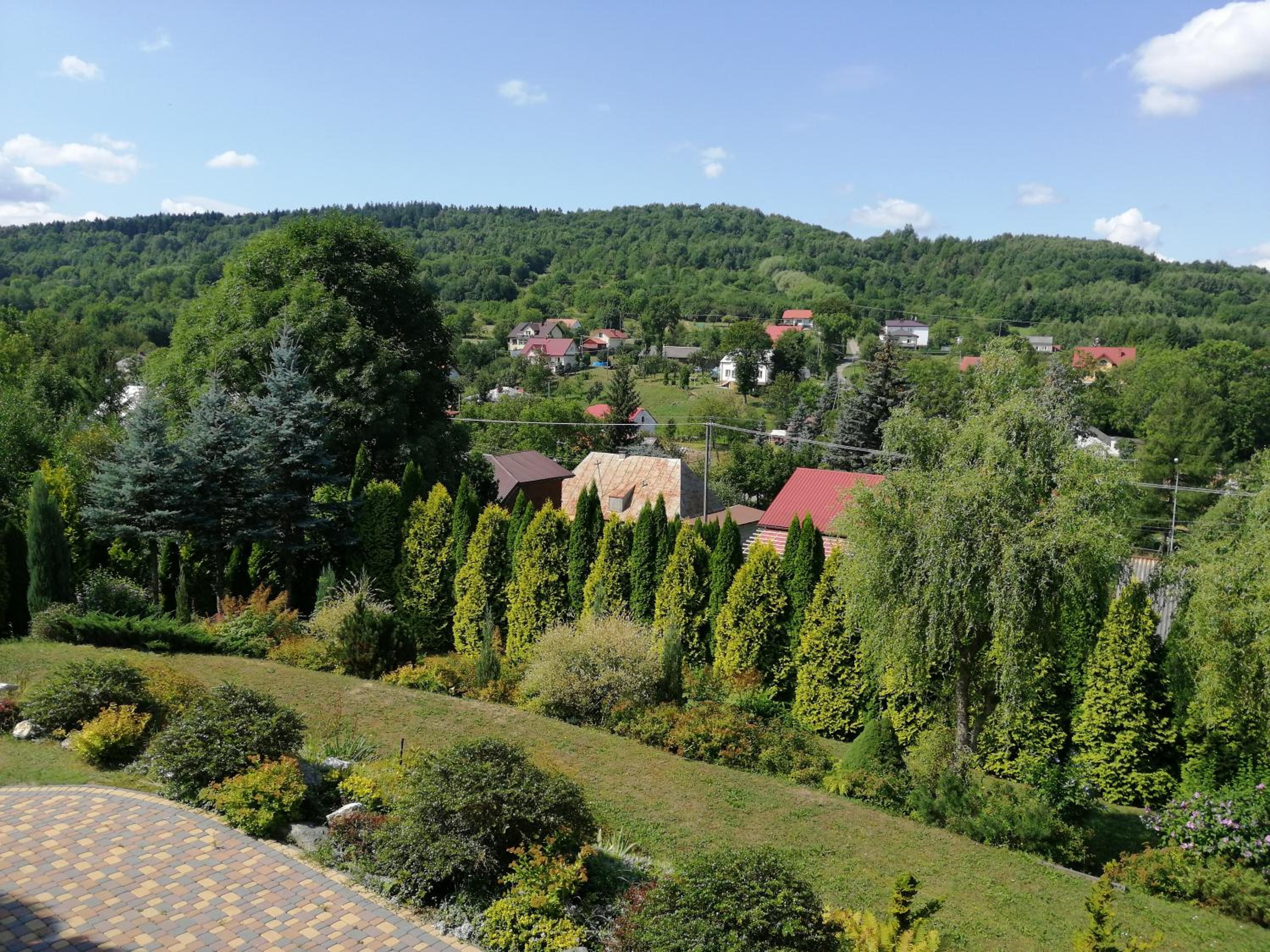 Photo 26