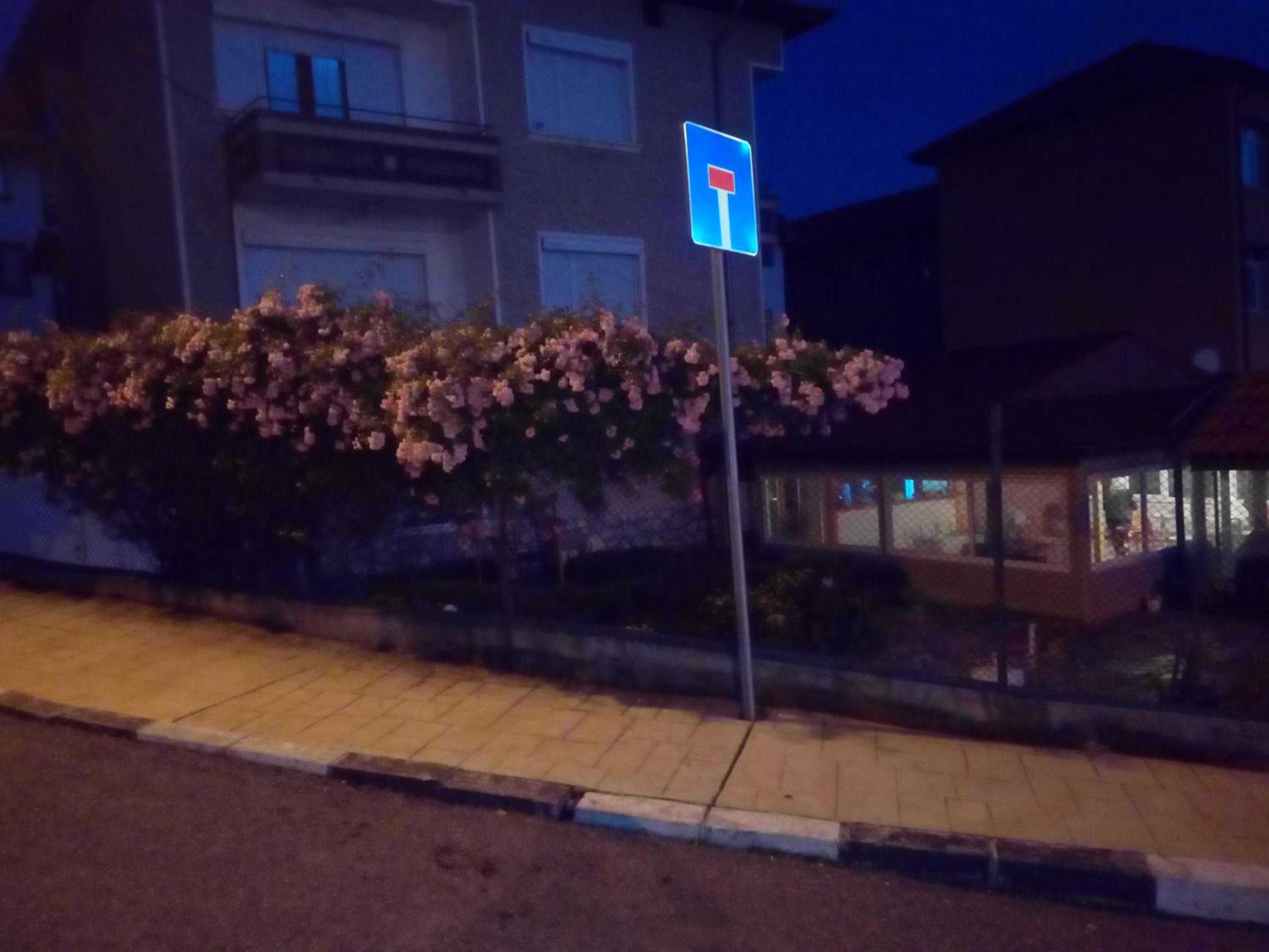 Teo's Guest House