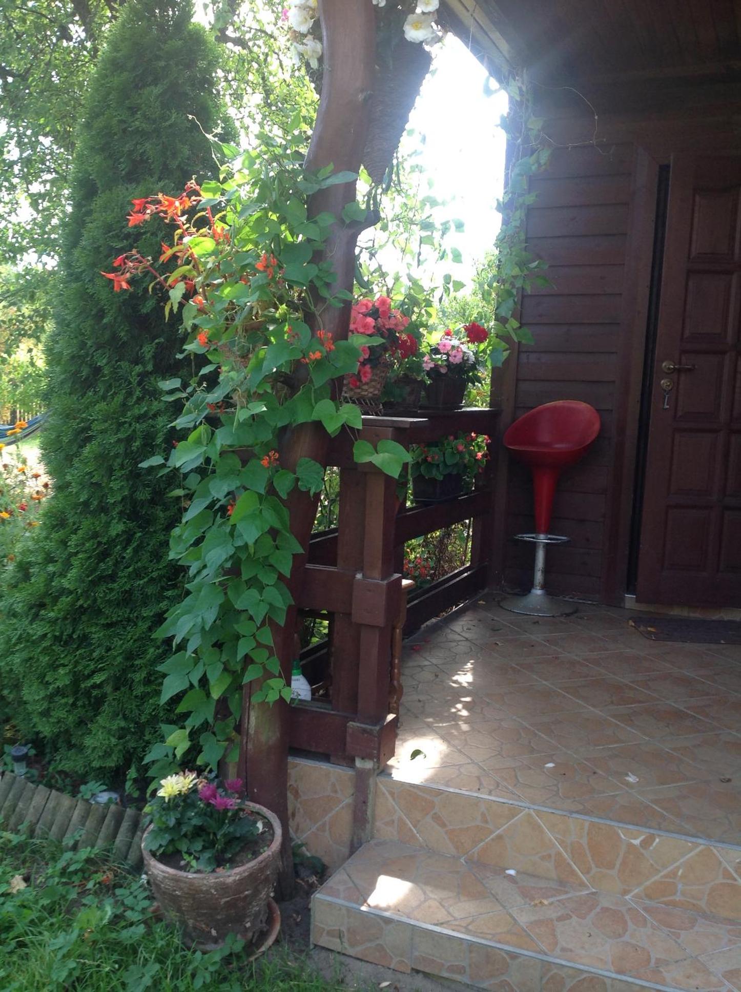Photo 27