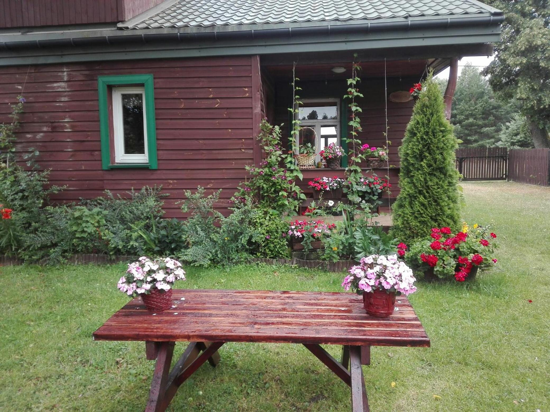 Photo 25