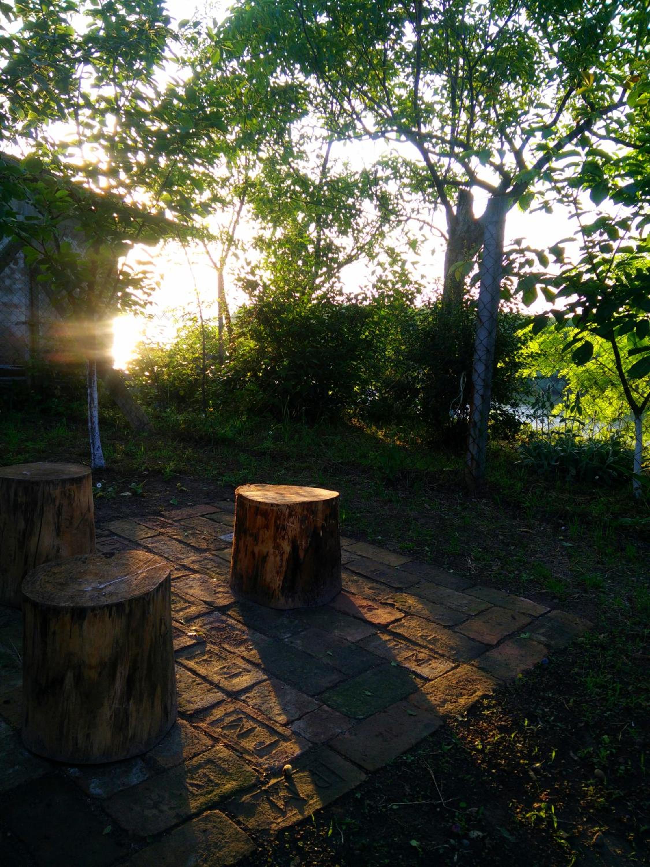 Photo 8