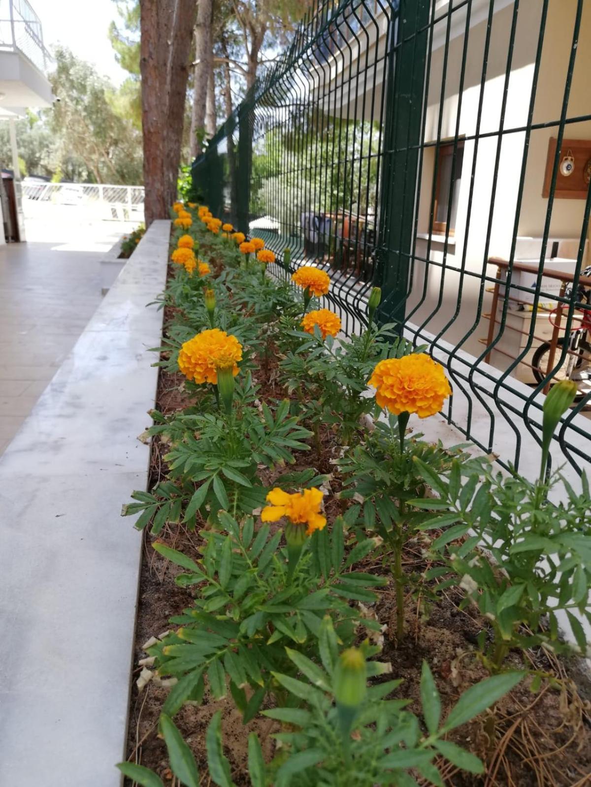 ÇİÇEK APART OTEL - Image 45