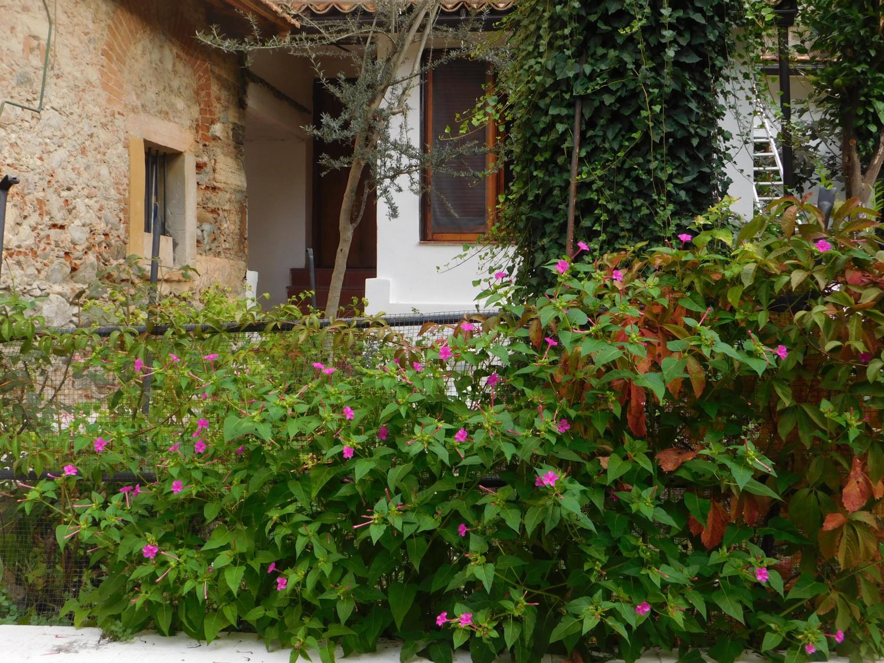 Old Garden