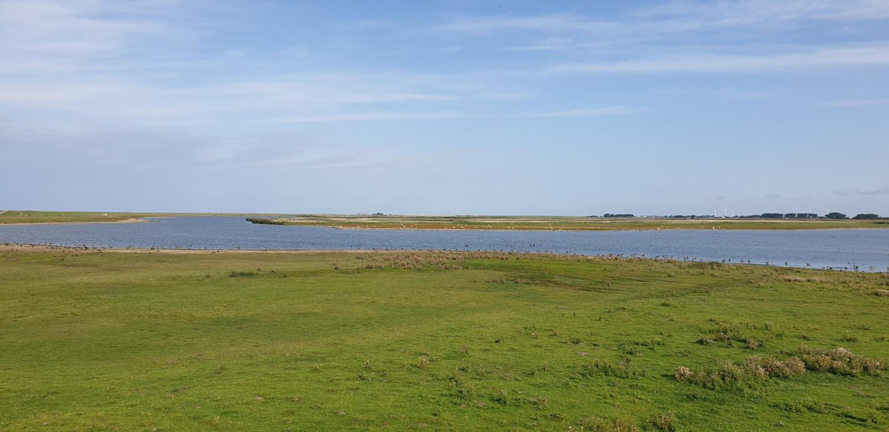 Ferienhaus Hoddebüll nah an der Nordsee