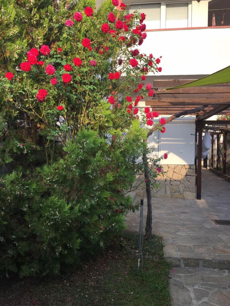 Guest House Dobrev
