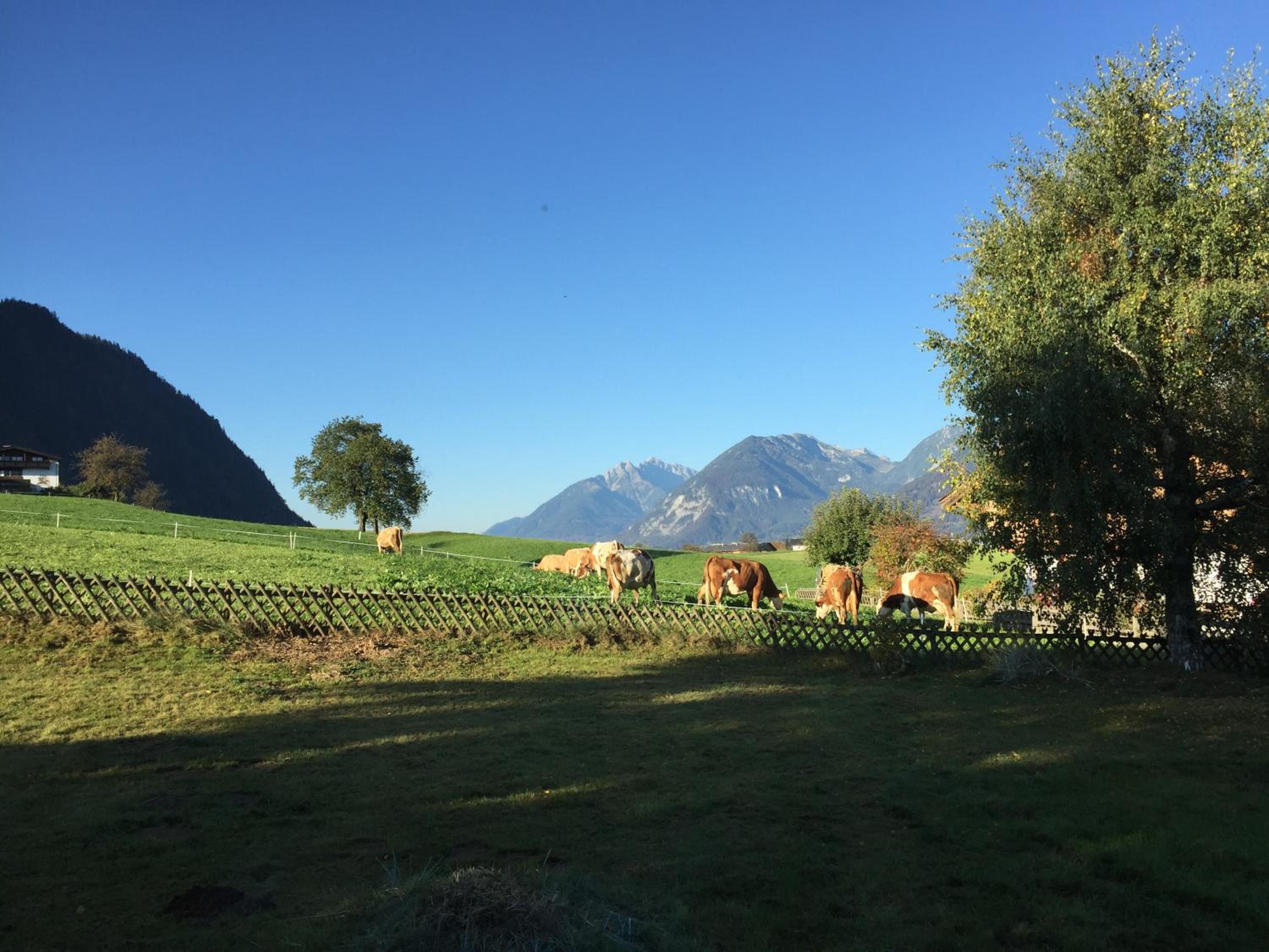 Wohlfühlchalet Tirol