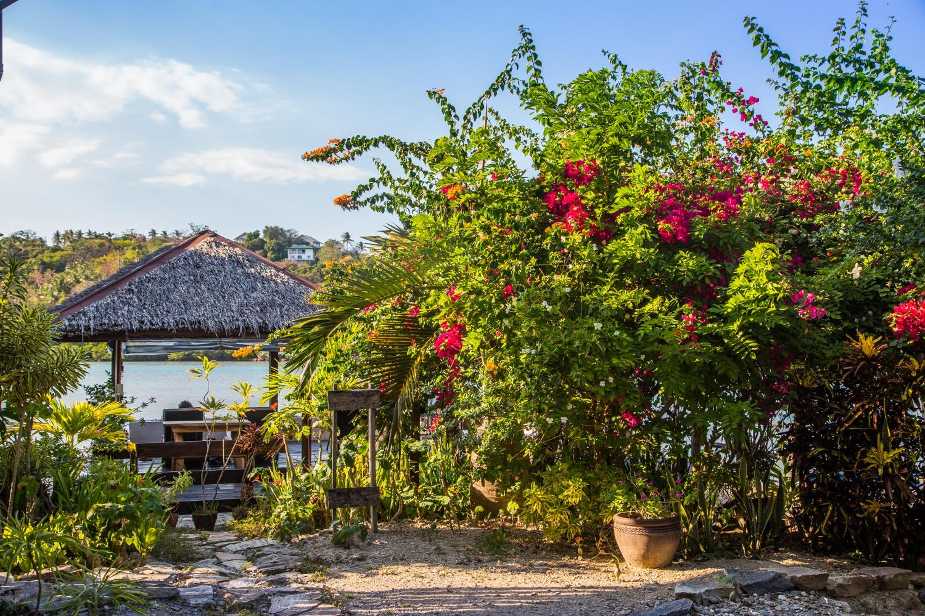 Edgewater Dive & Spa Resort