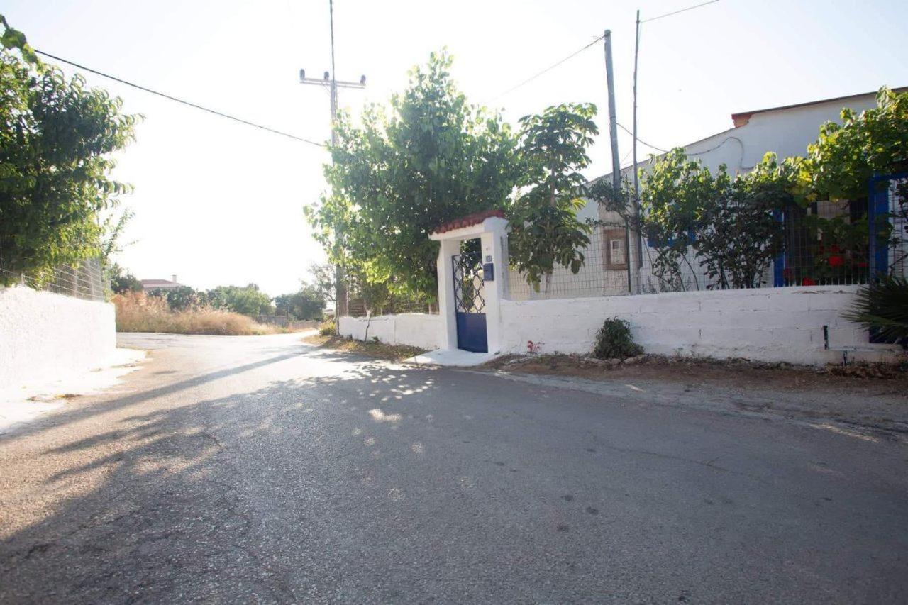 Photo 29