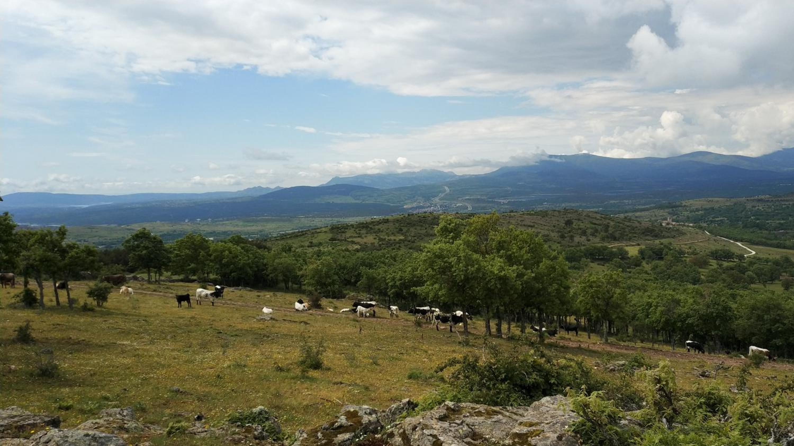 Estrella rural casa rural en la Sierra de Madrid view 5