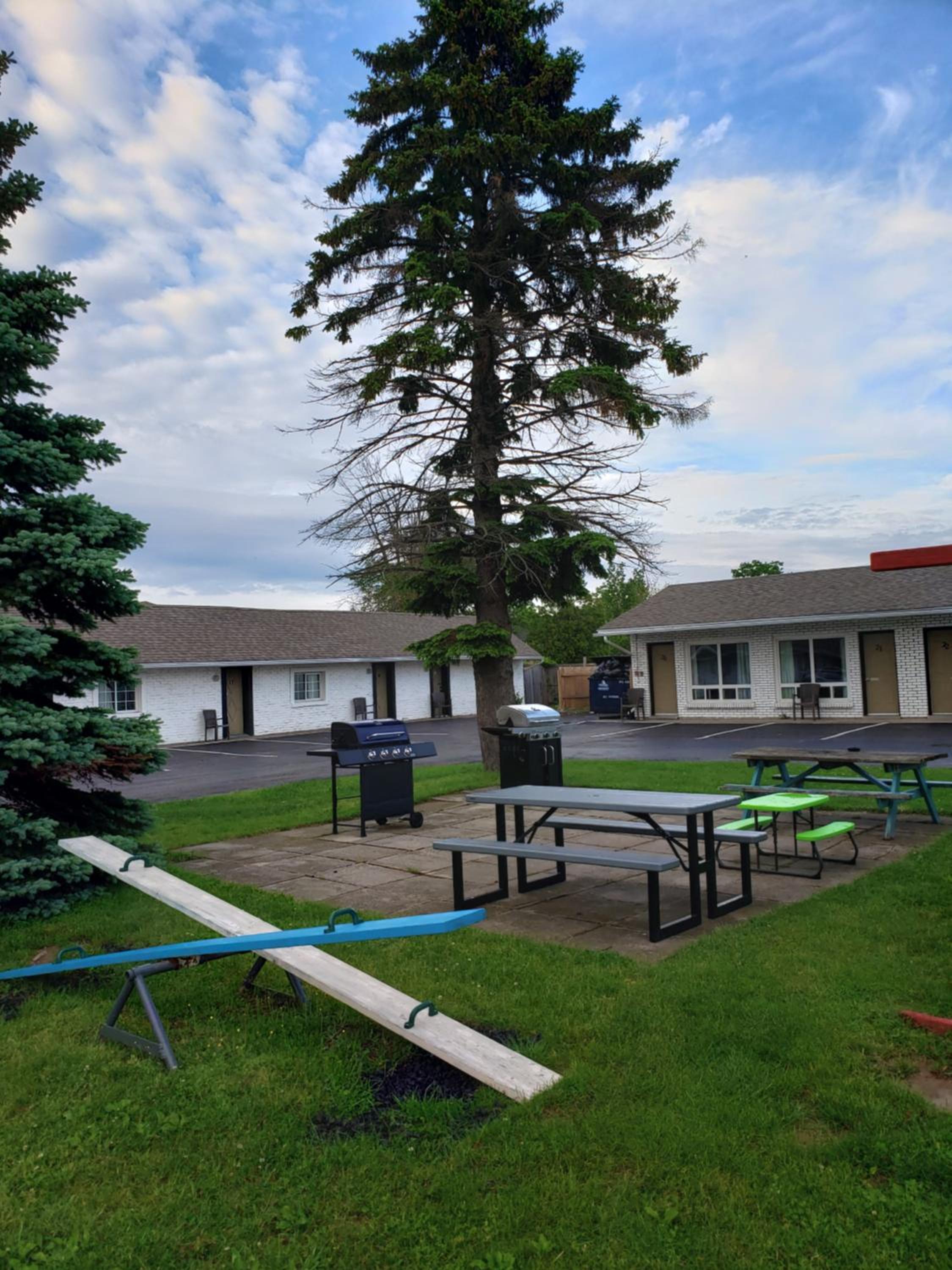 Falcon Inn