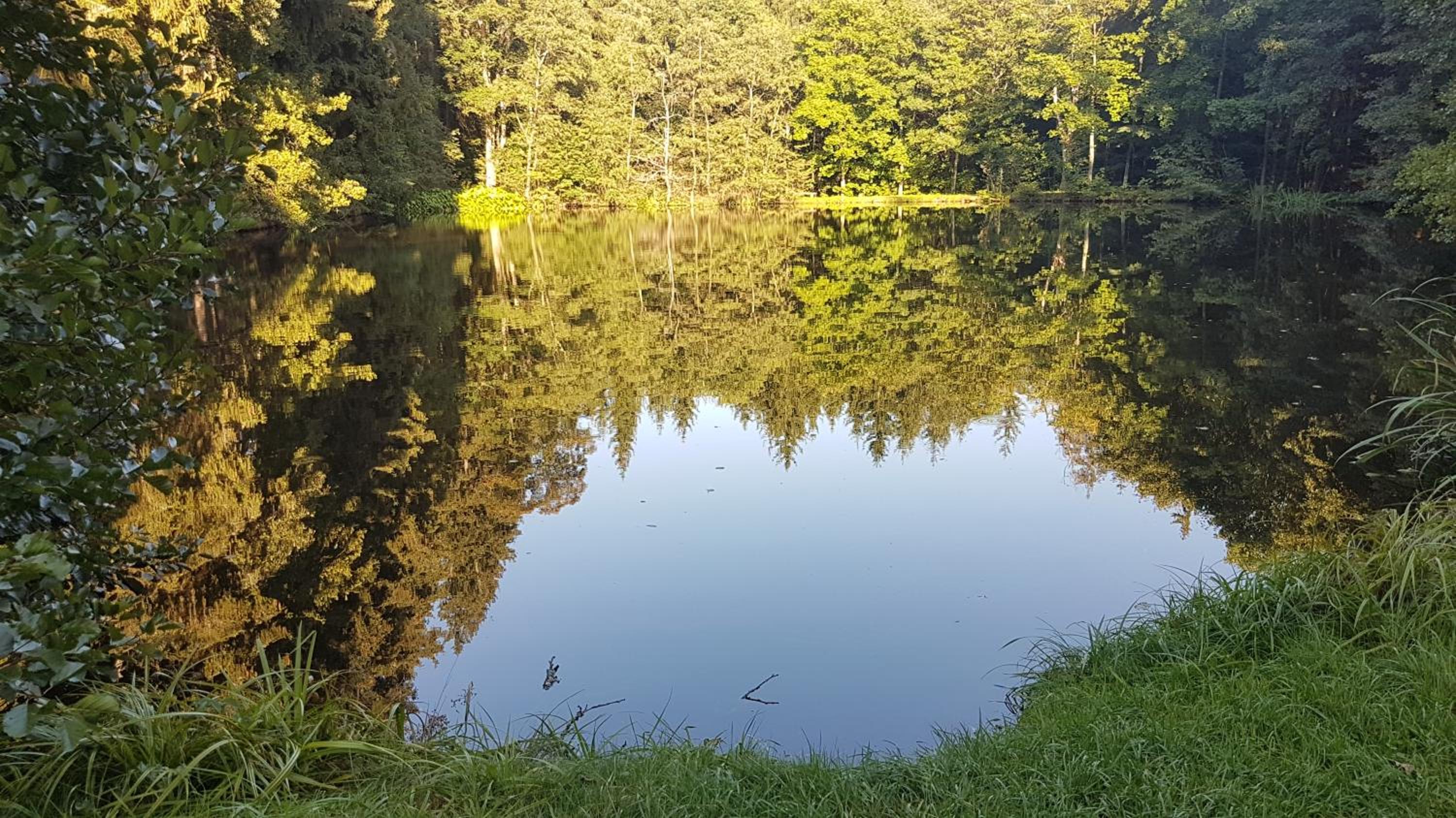 Apartmán U kolonády