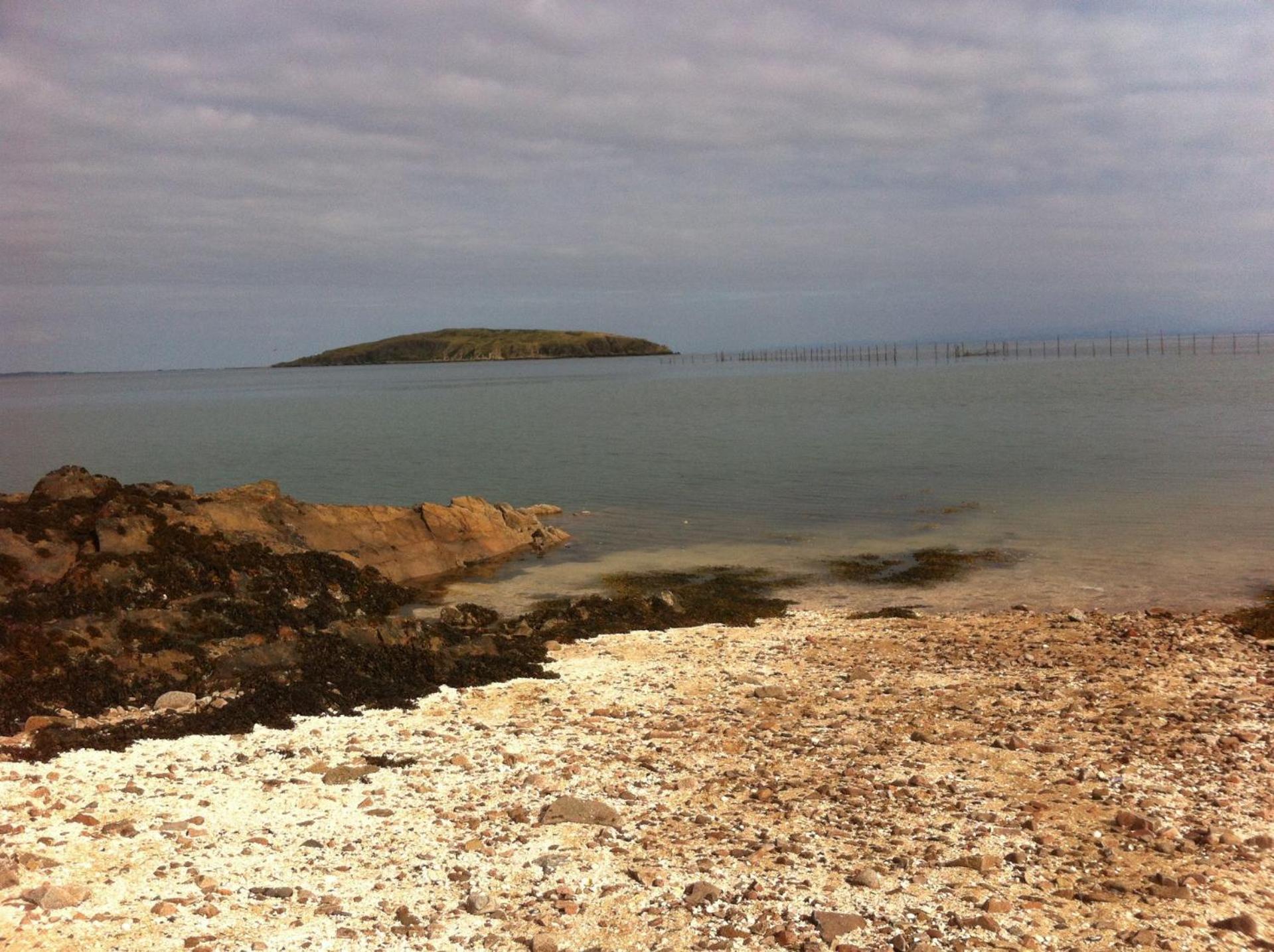 Tower Lodge view 2
