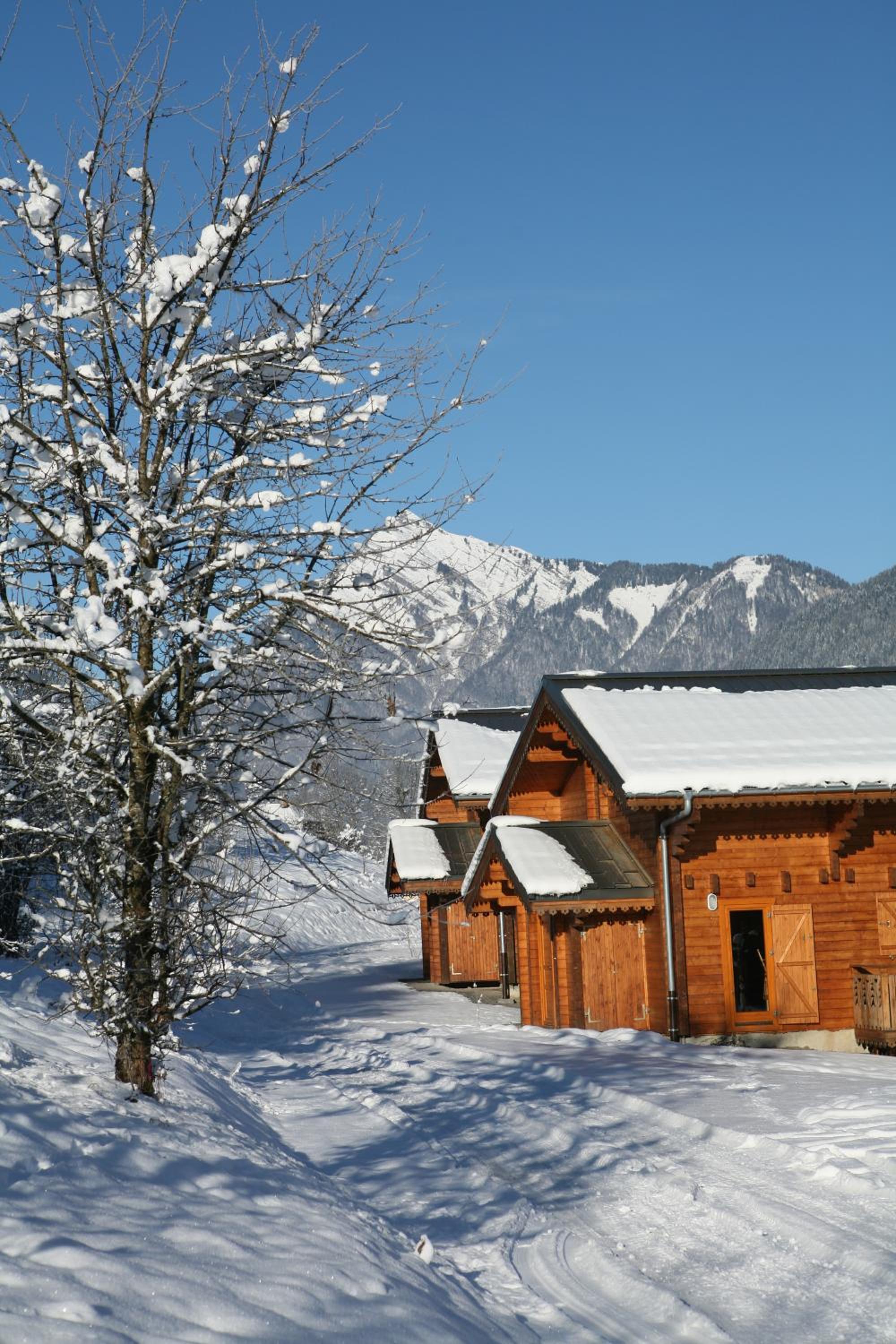 Photo 42