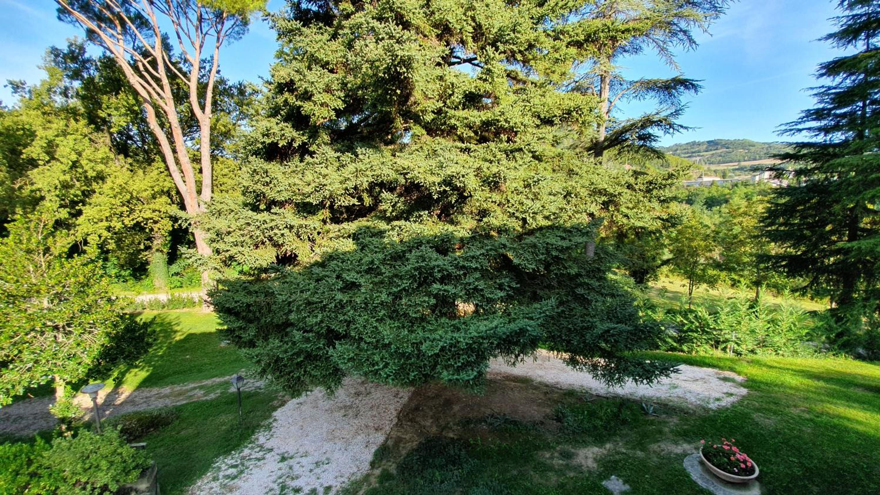 Affittacamere Villa Molinello