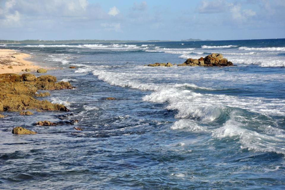 Studio la petite Améthyste view 3