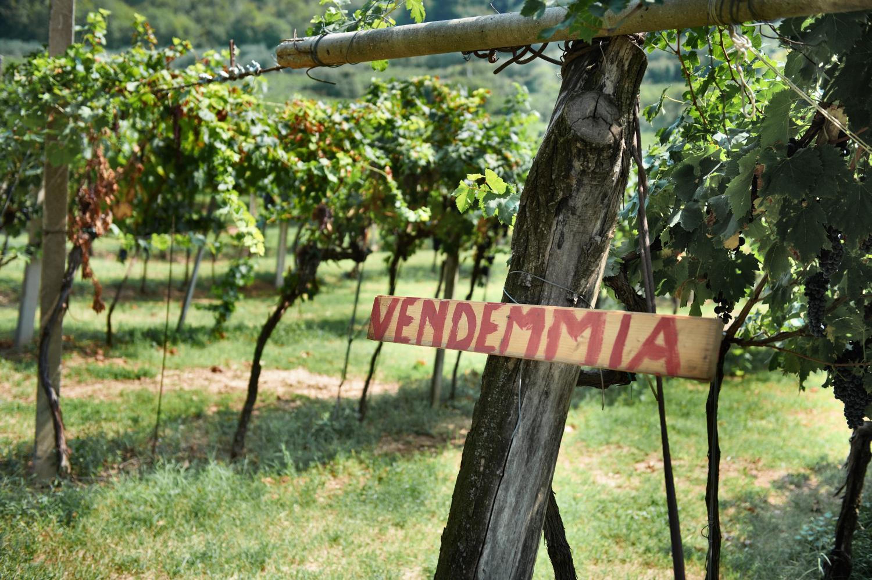 Massimago Wine Relais