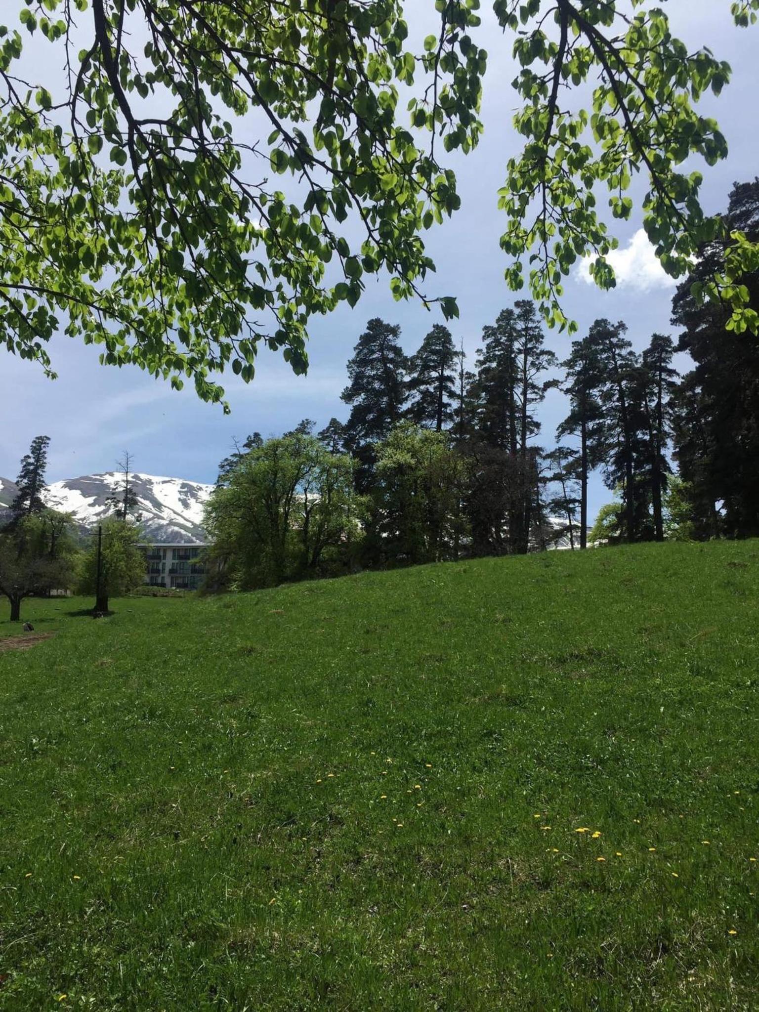 Photo 41