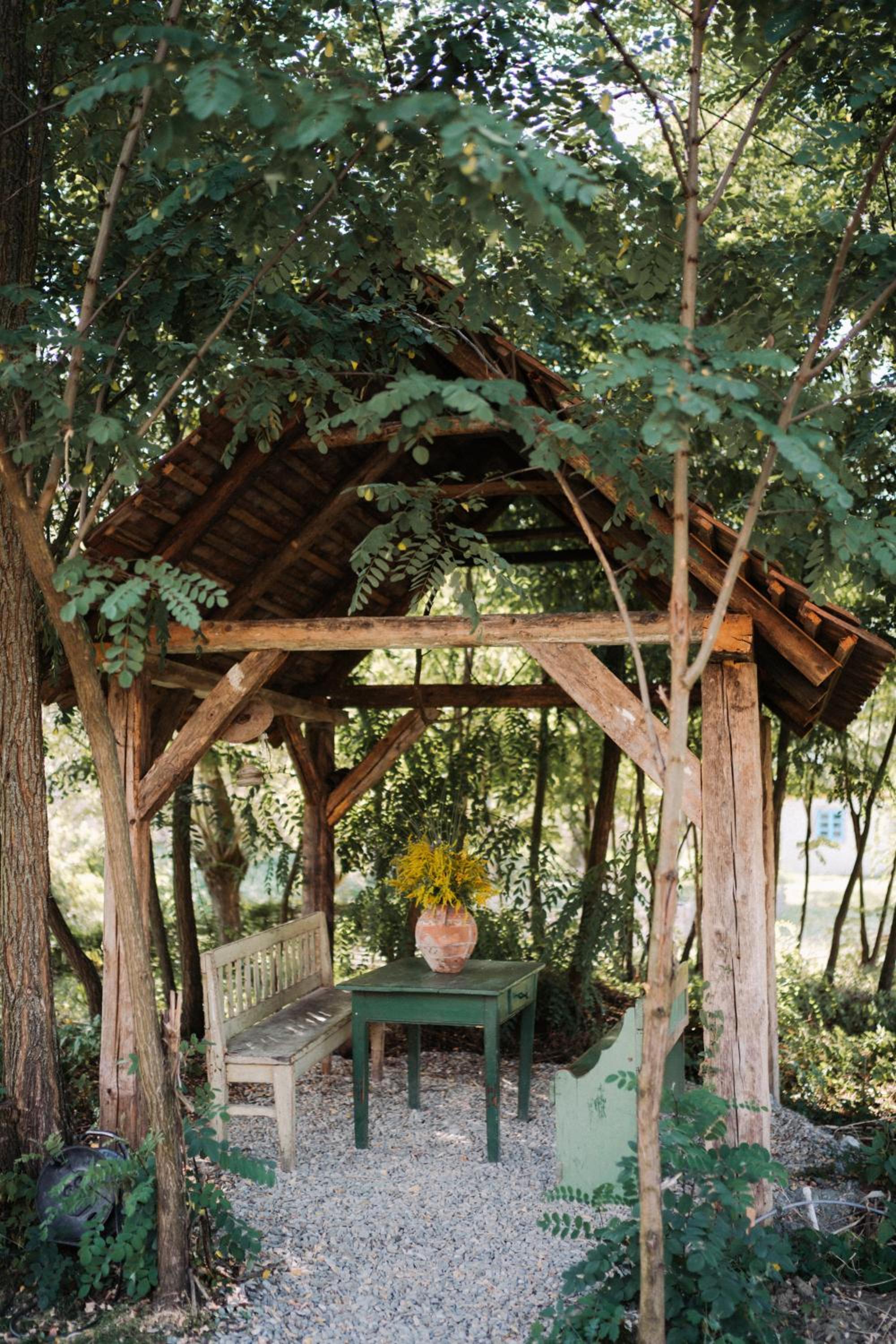 Photo 44