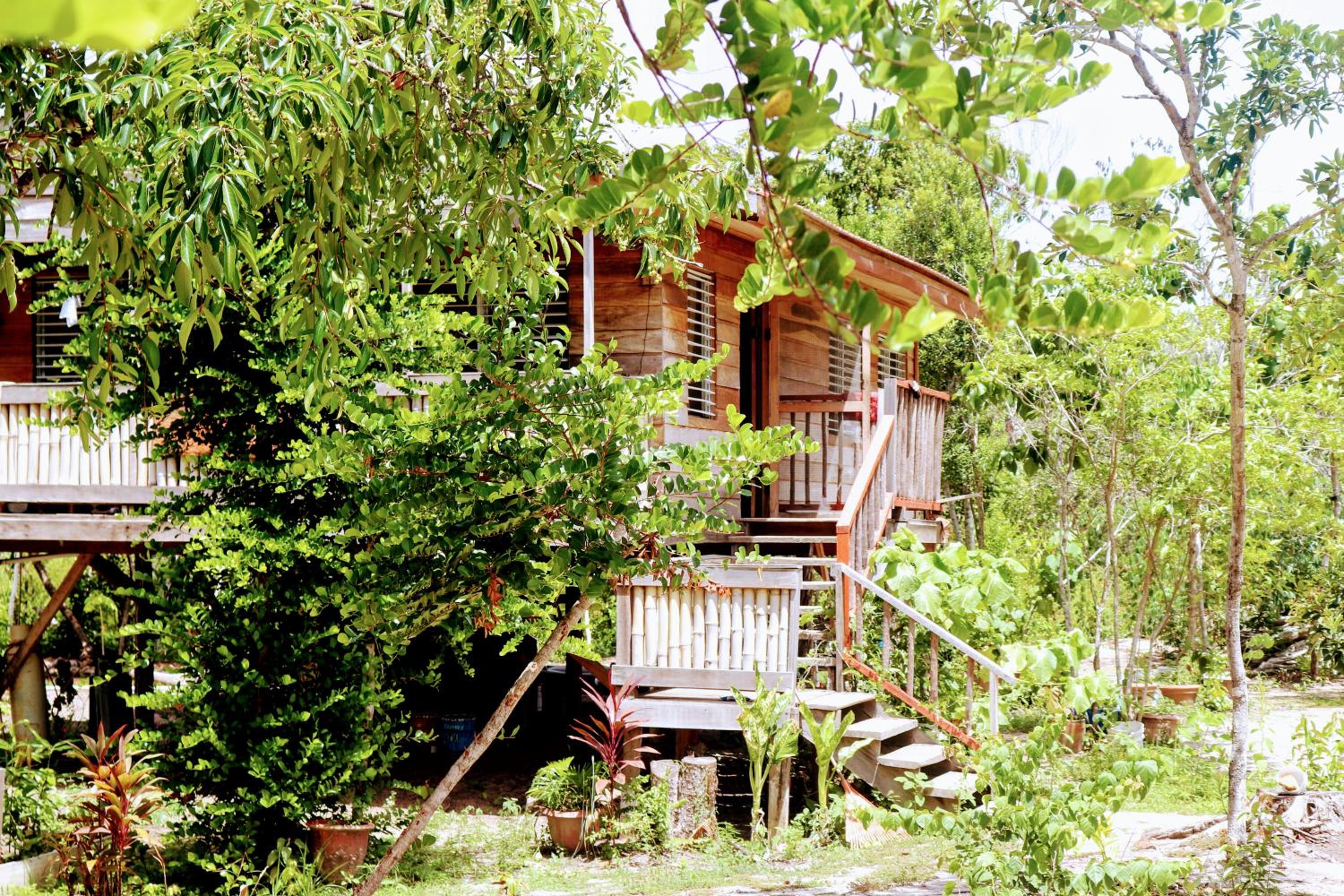 Palmento Grove Garifuna Eco-Cultural & Healing Institute