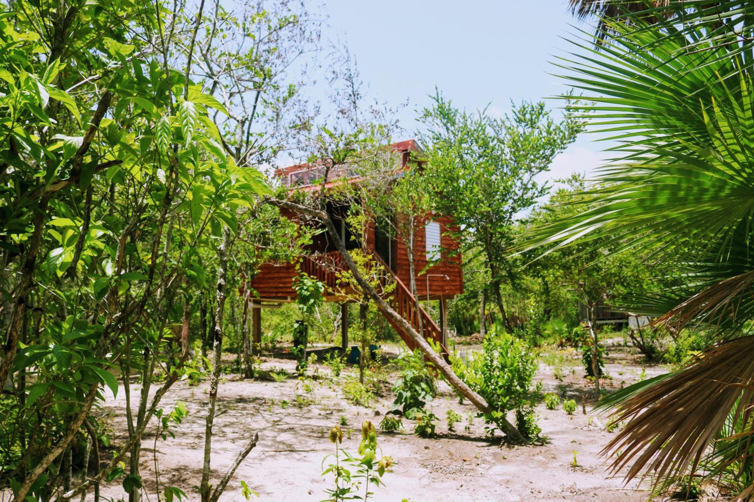 Palmento Grove Garifuna Eco-Cultural & Healing Institute