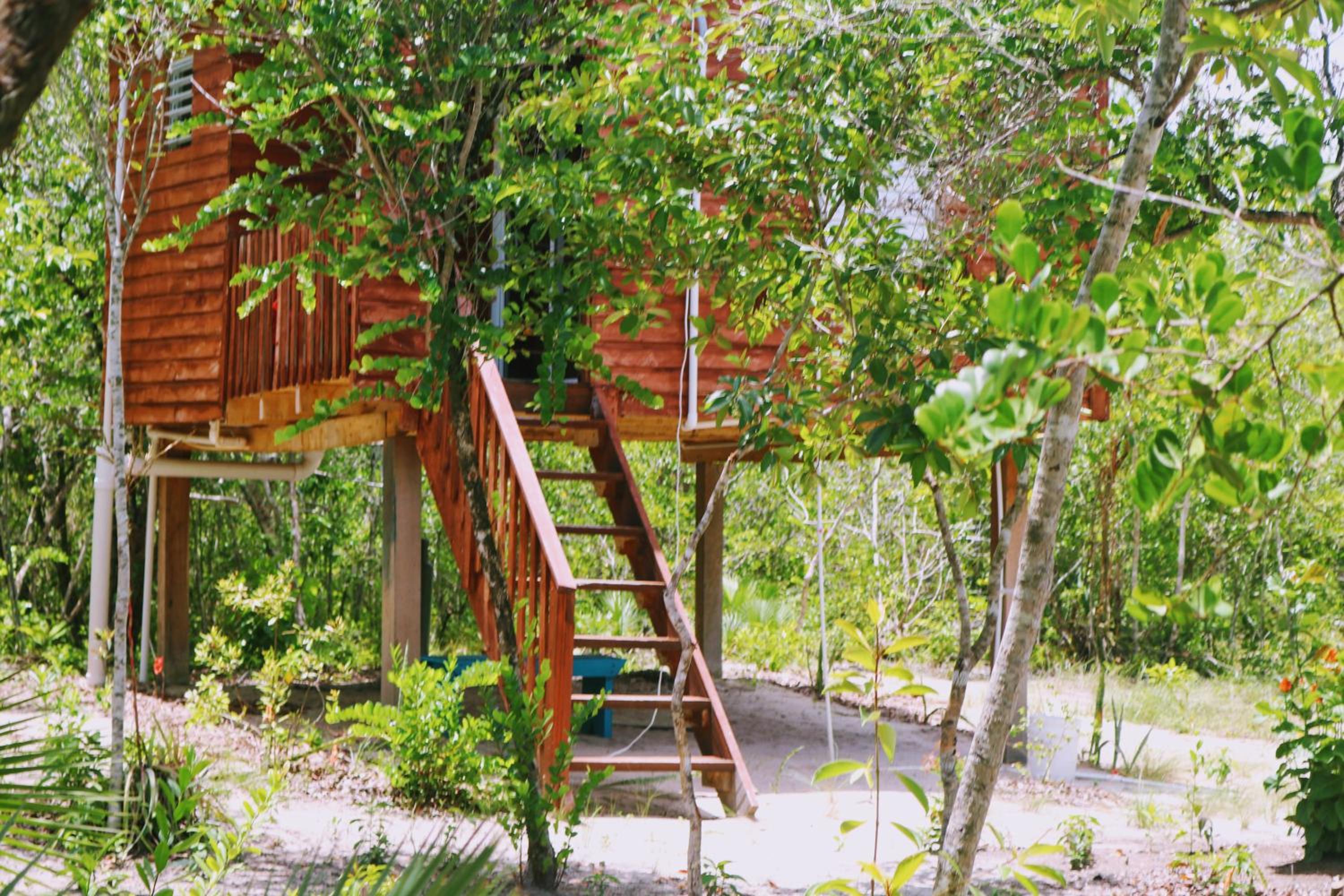 Palmento Grove Garifuna Eco-Cultural & Healing Institute