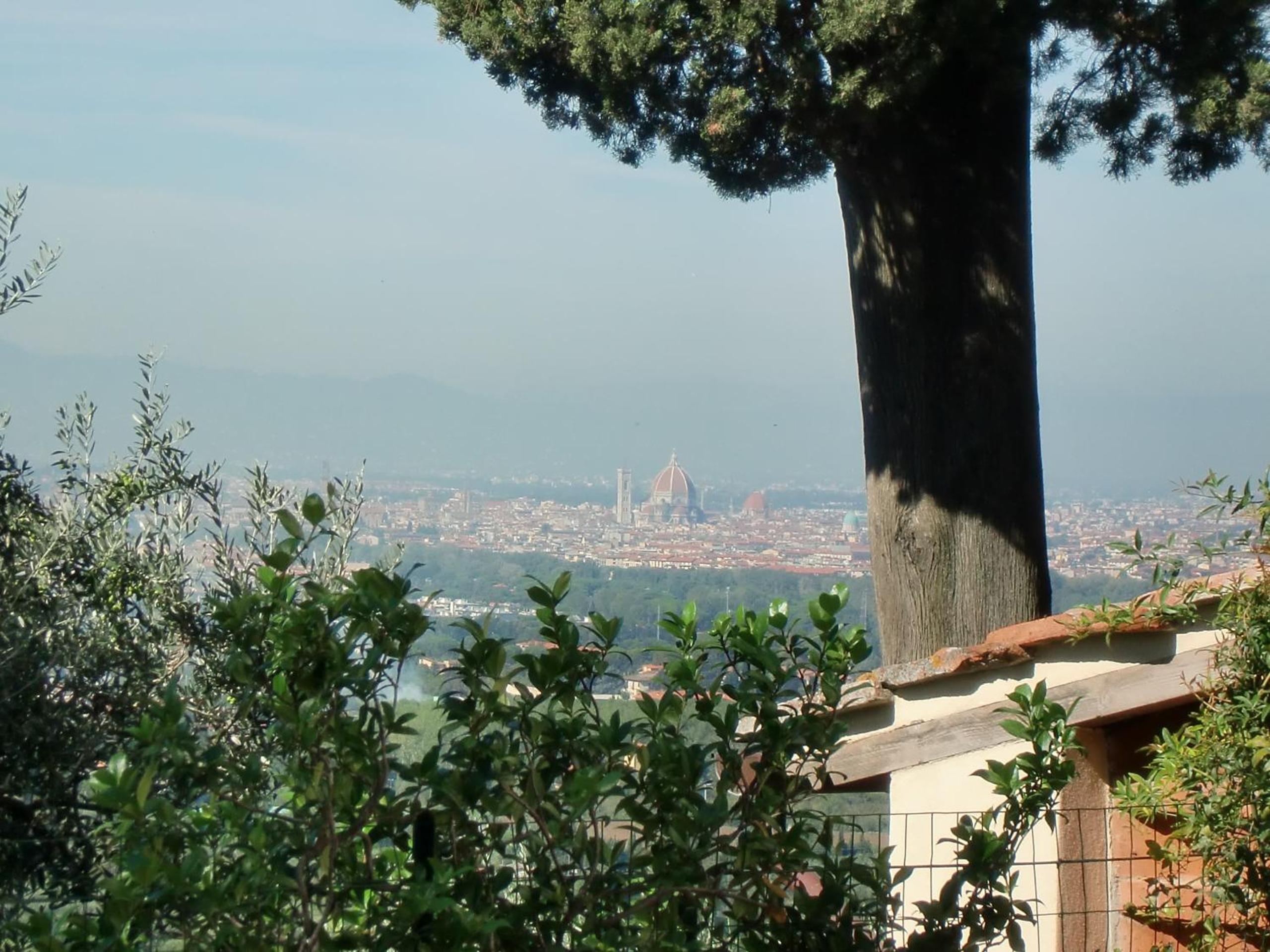 Il Palagetto