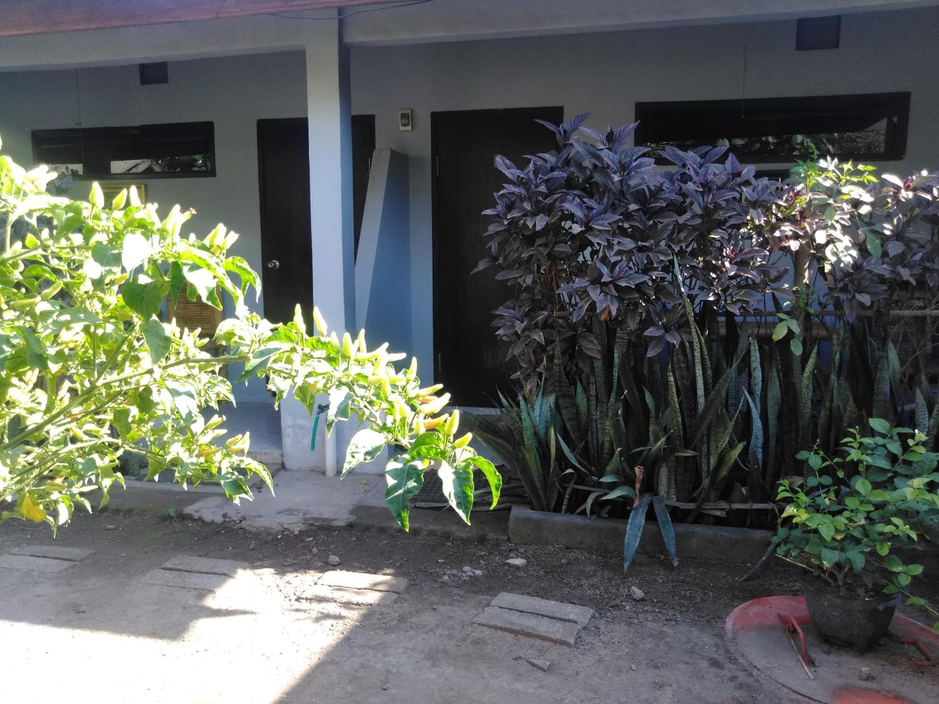 Photo 25