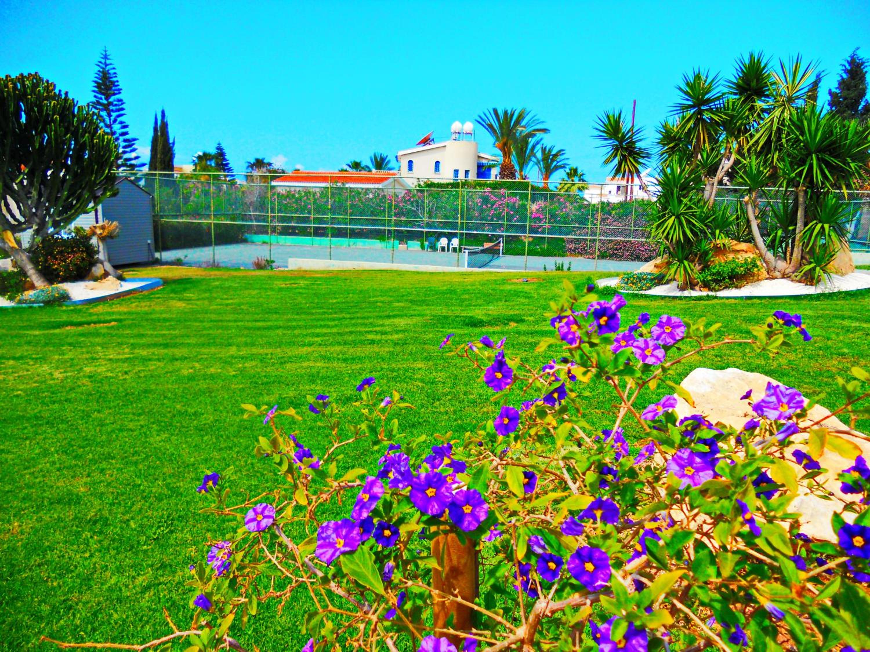 CORAL BAY suite Cyprus view 2