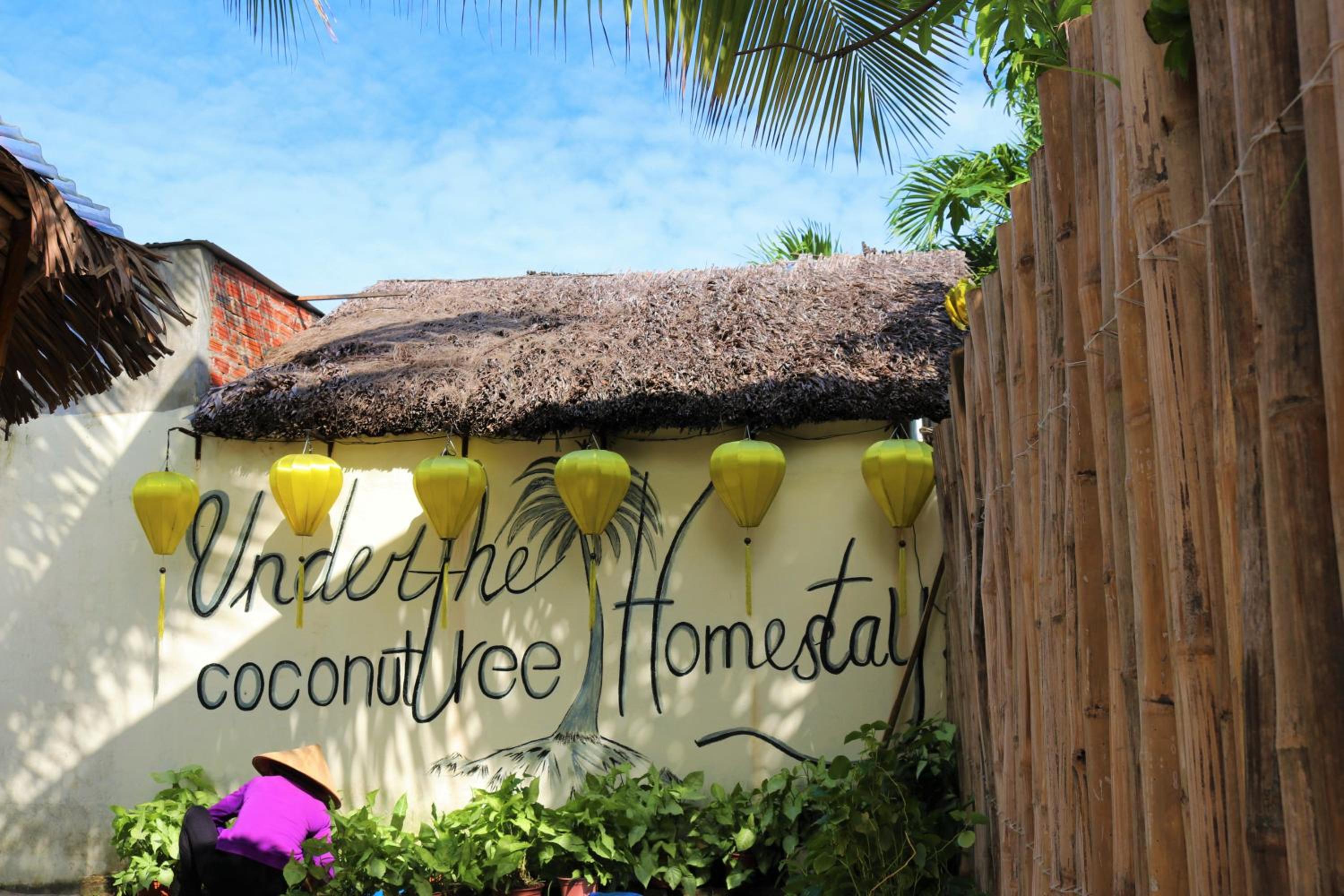 Under The Coconut Tree Hoi An