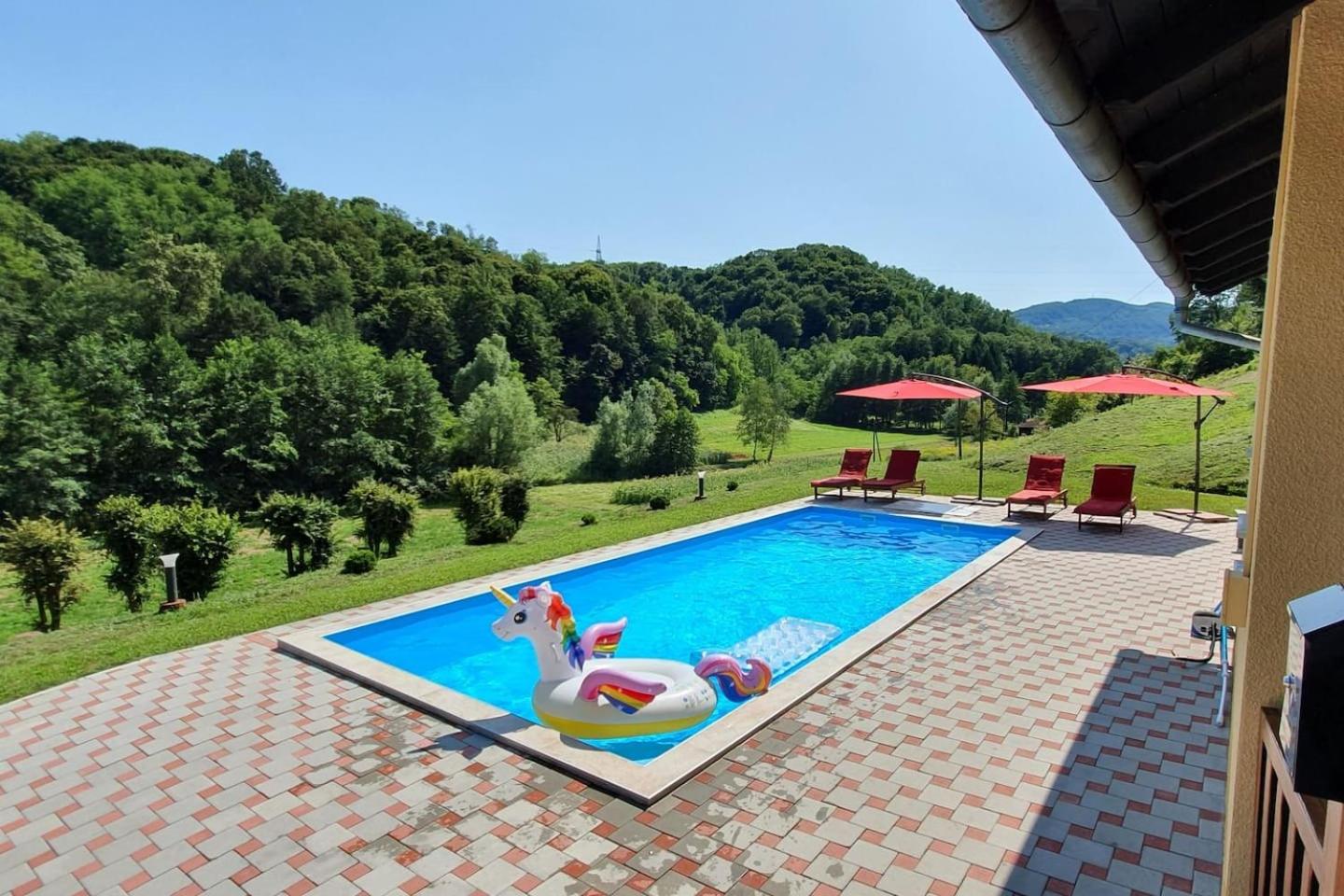 VILA LASOVIC + POOL + JACUZZI + SAUNA view 5