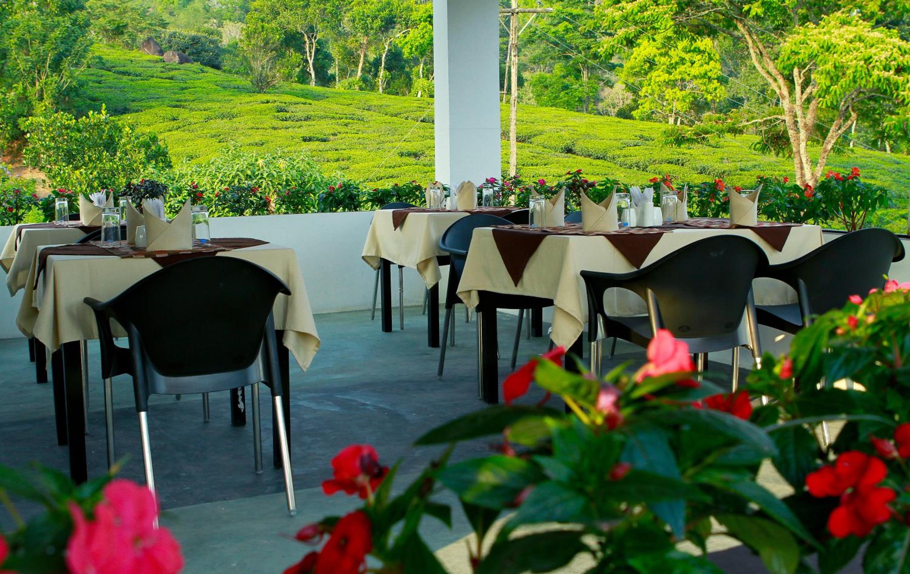 Gruenberg Tea Plantation Haus