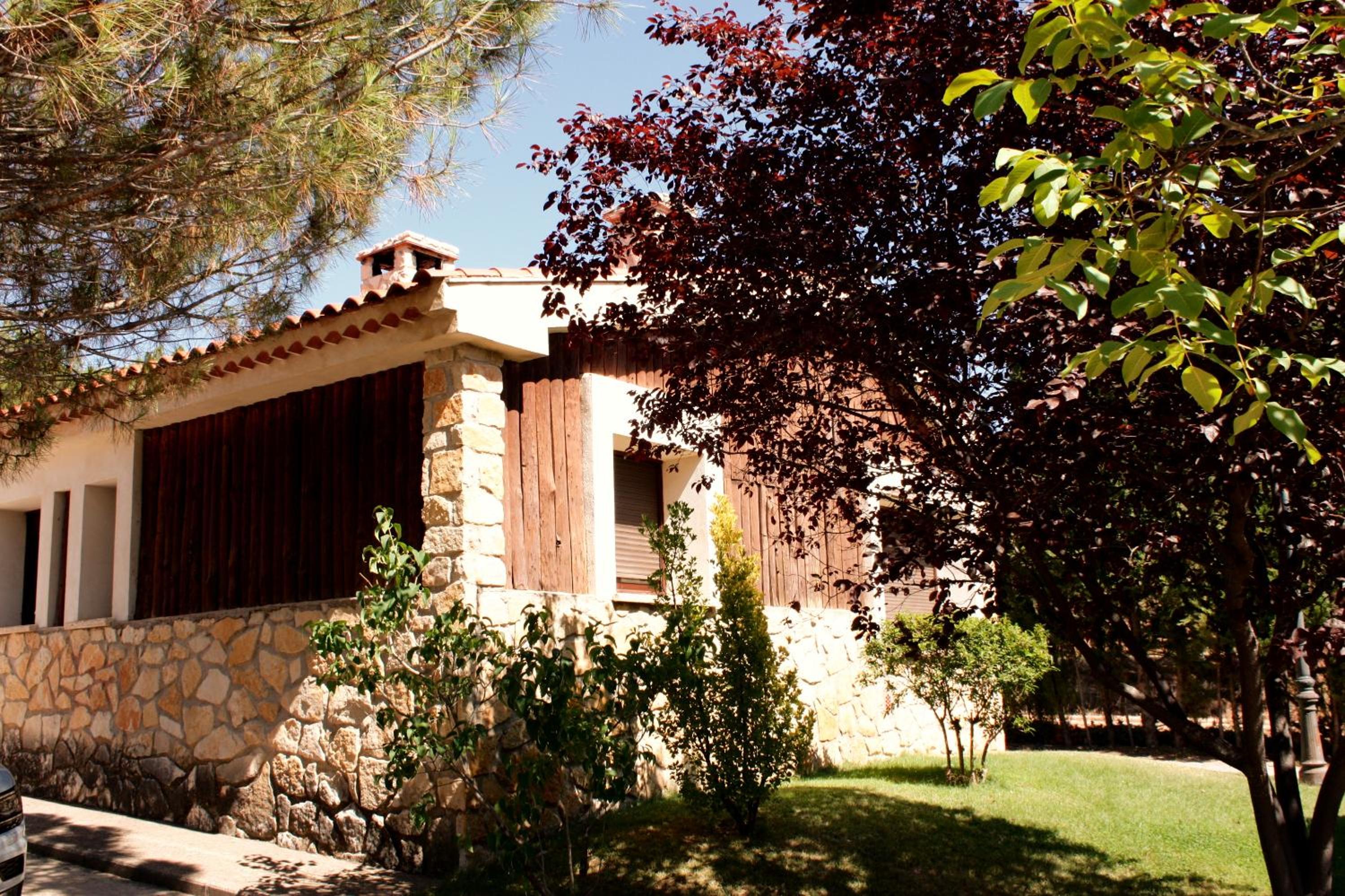 Photo 8