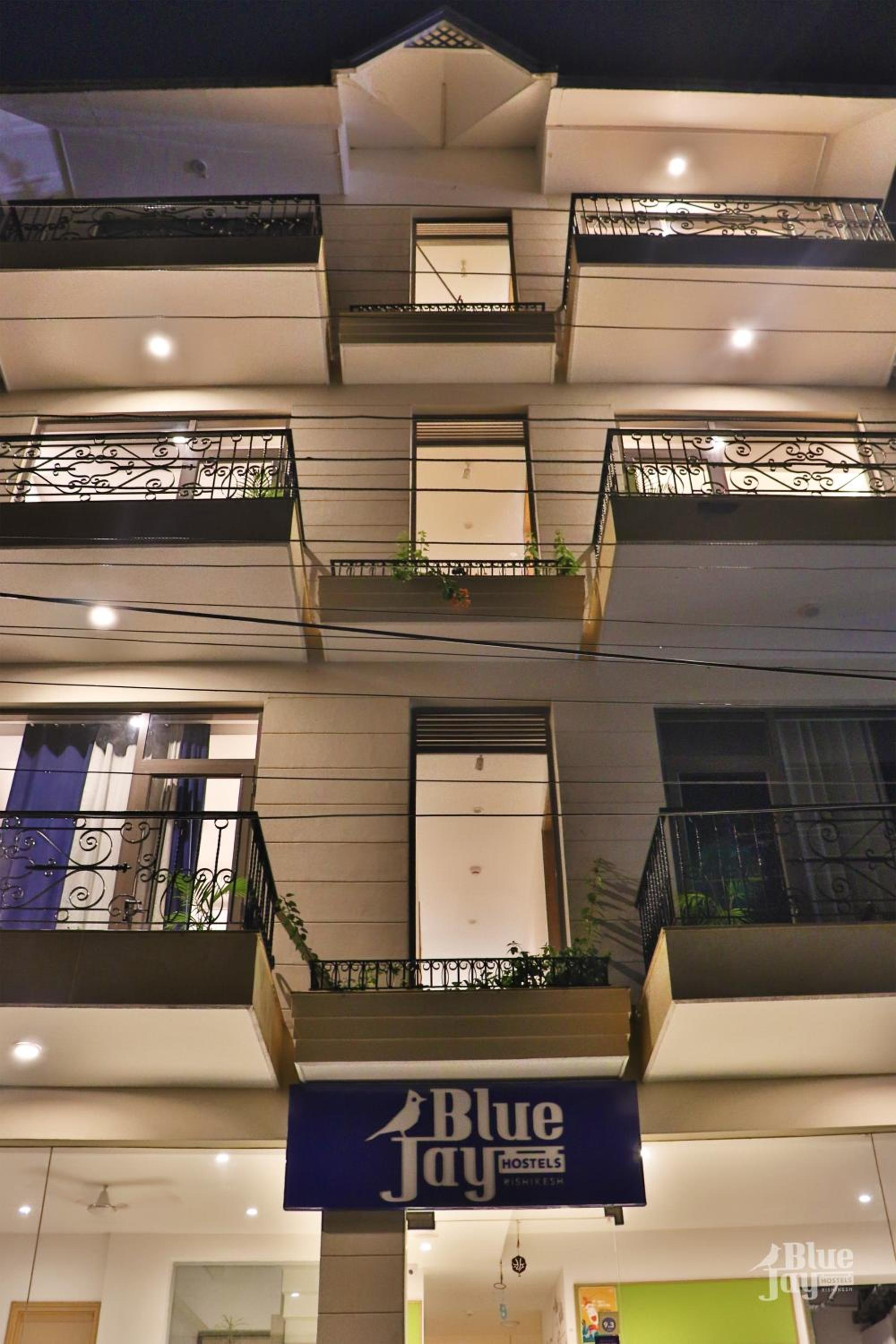The Blue Jay Hostel, photo 62
