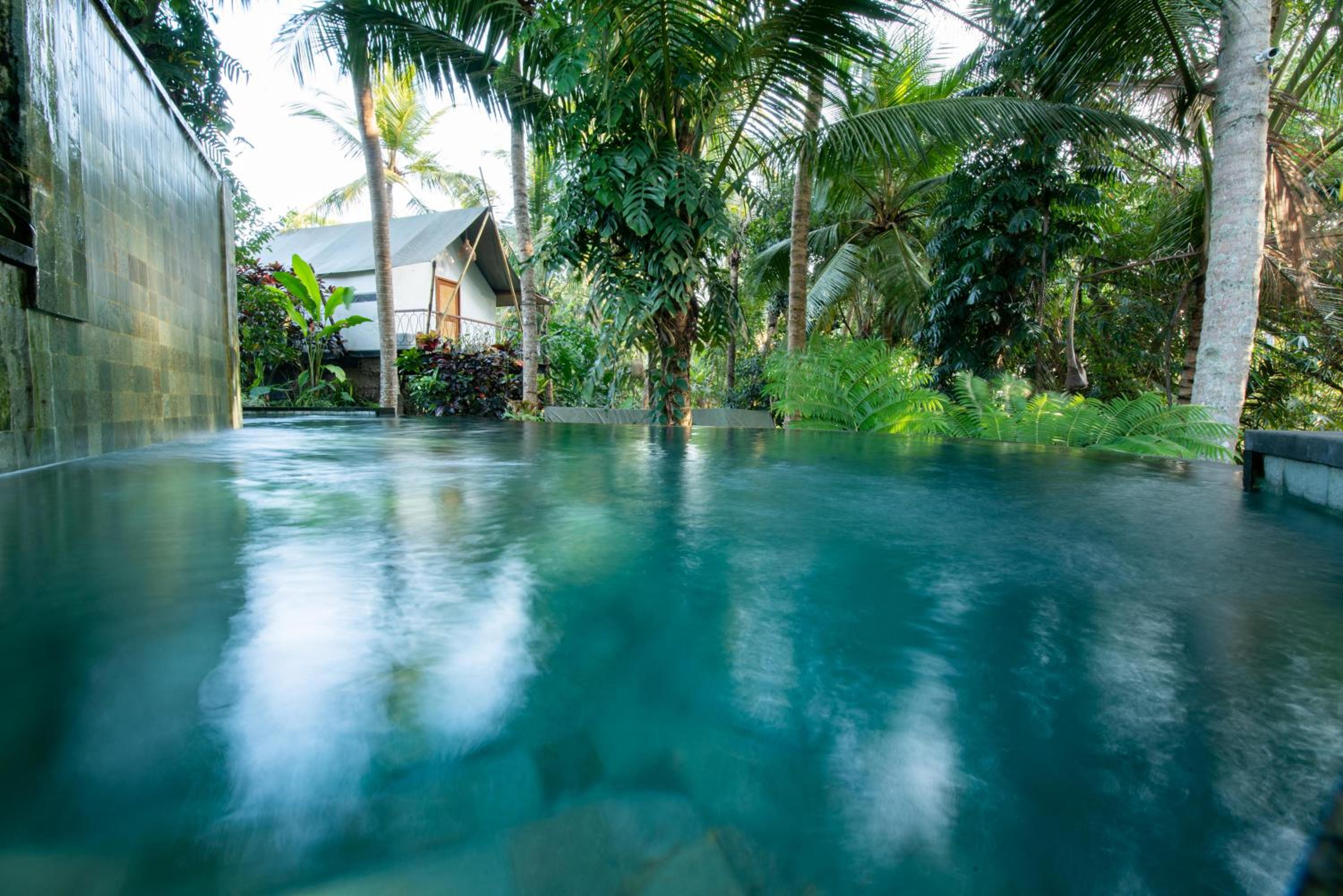 Ubud Tropical