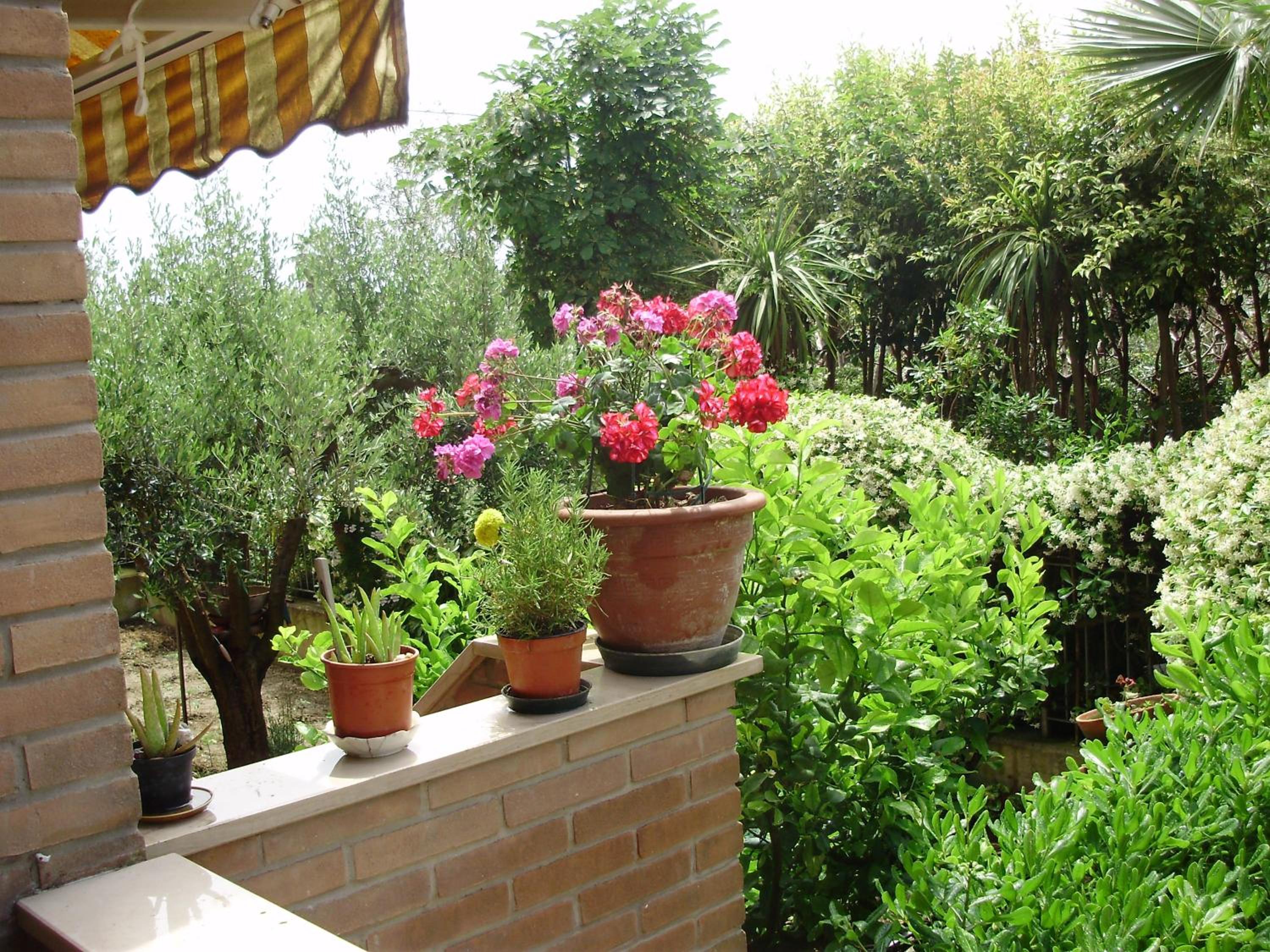 B&B Le Palme photo 1