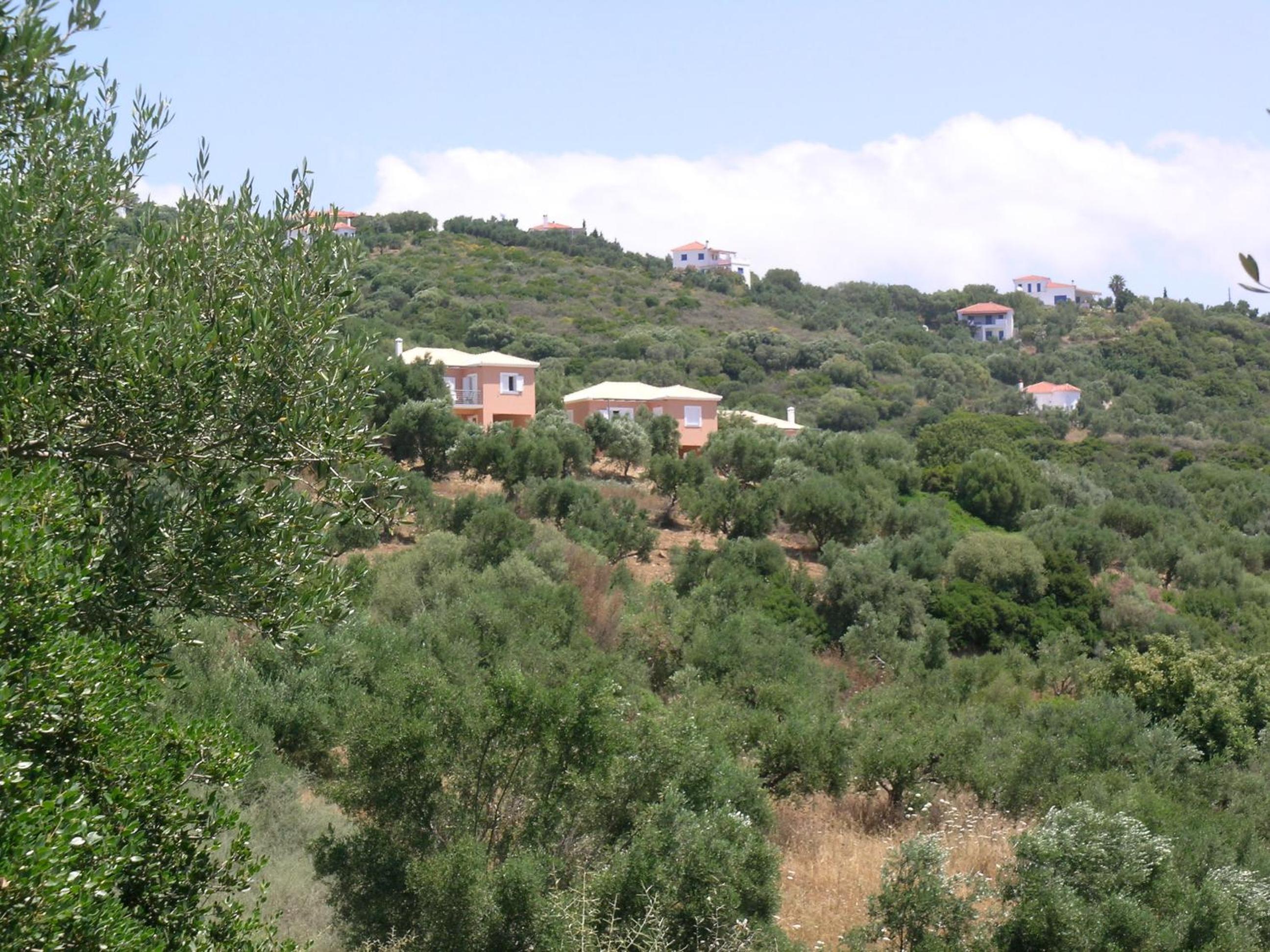 Photo 22