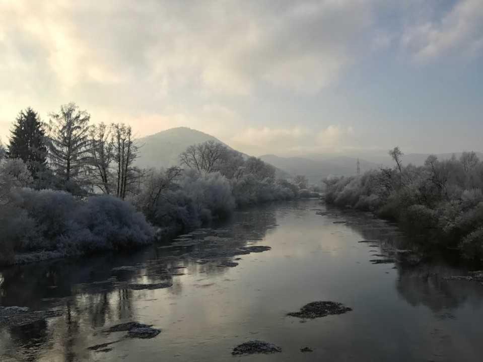 Ferienwohnung Alpakas im Nebel