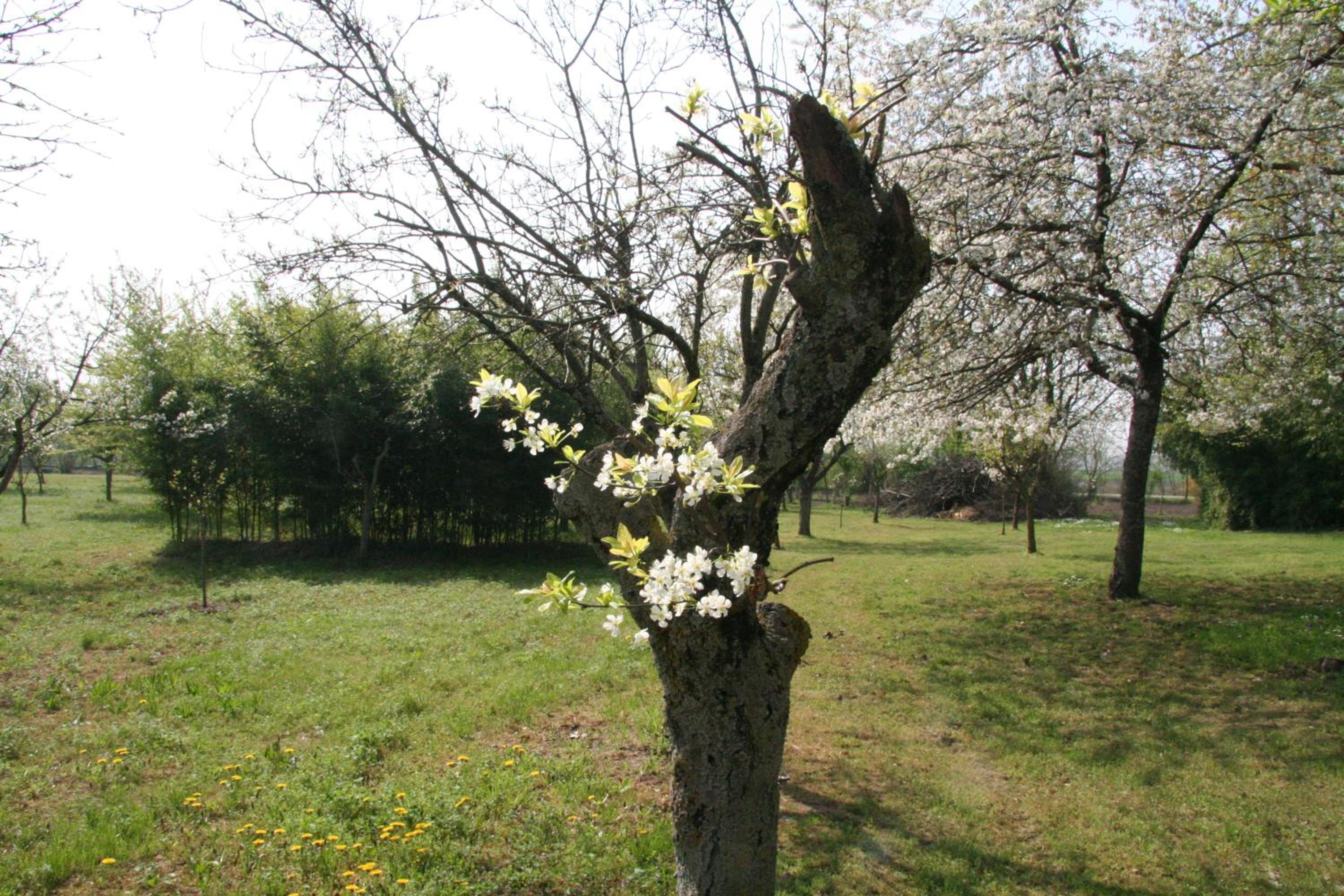 Photo 49