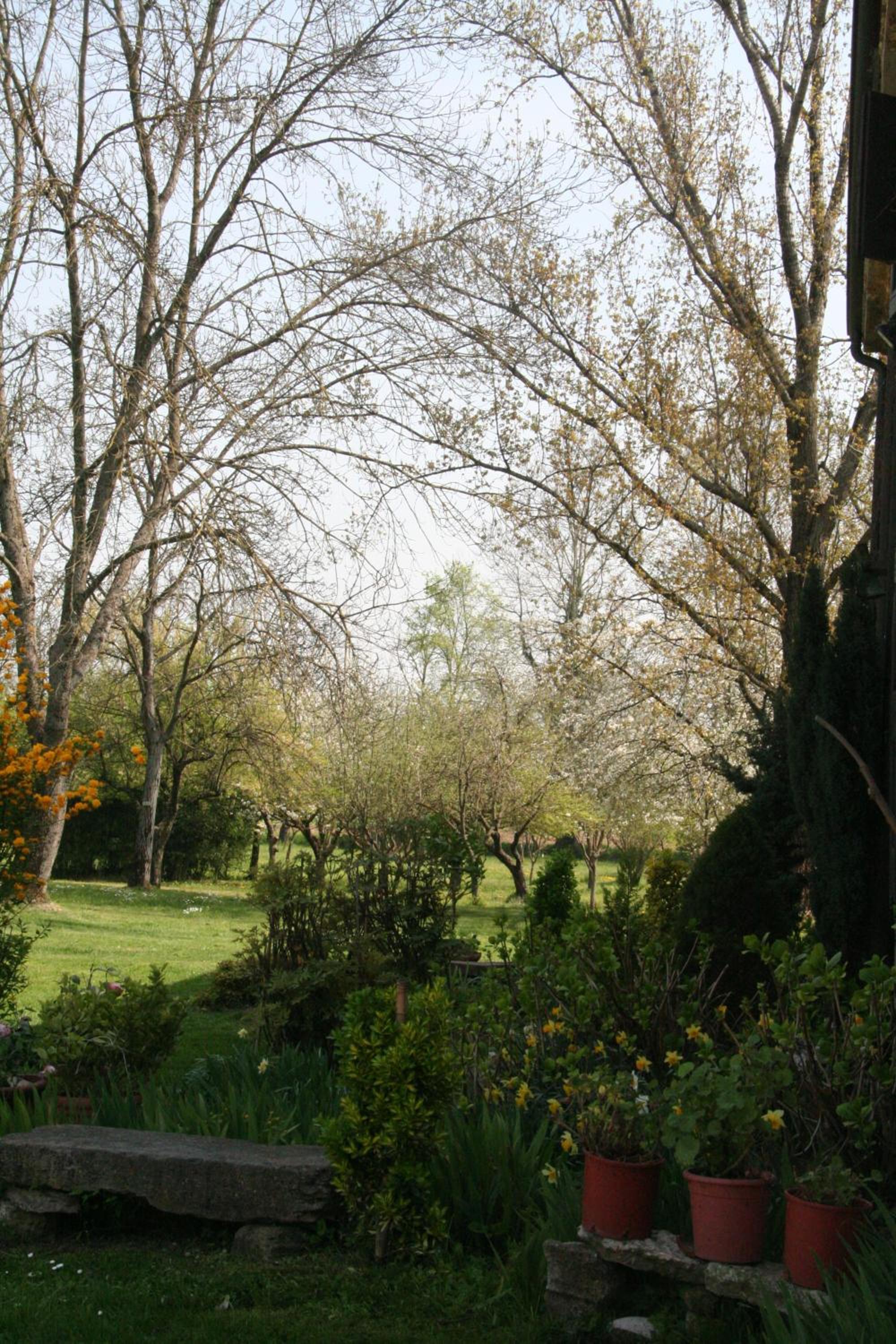 Photo 50