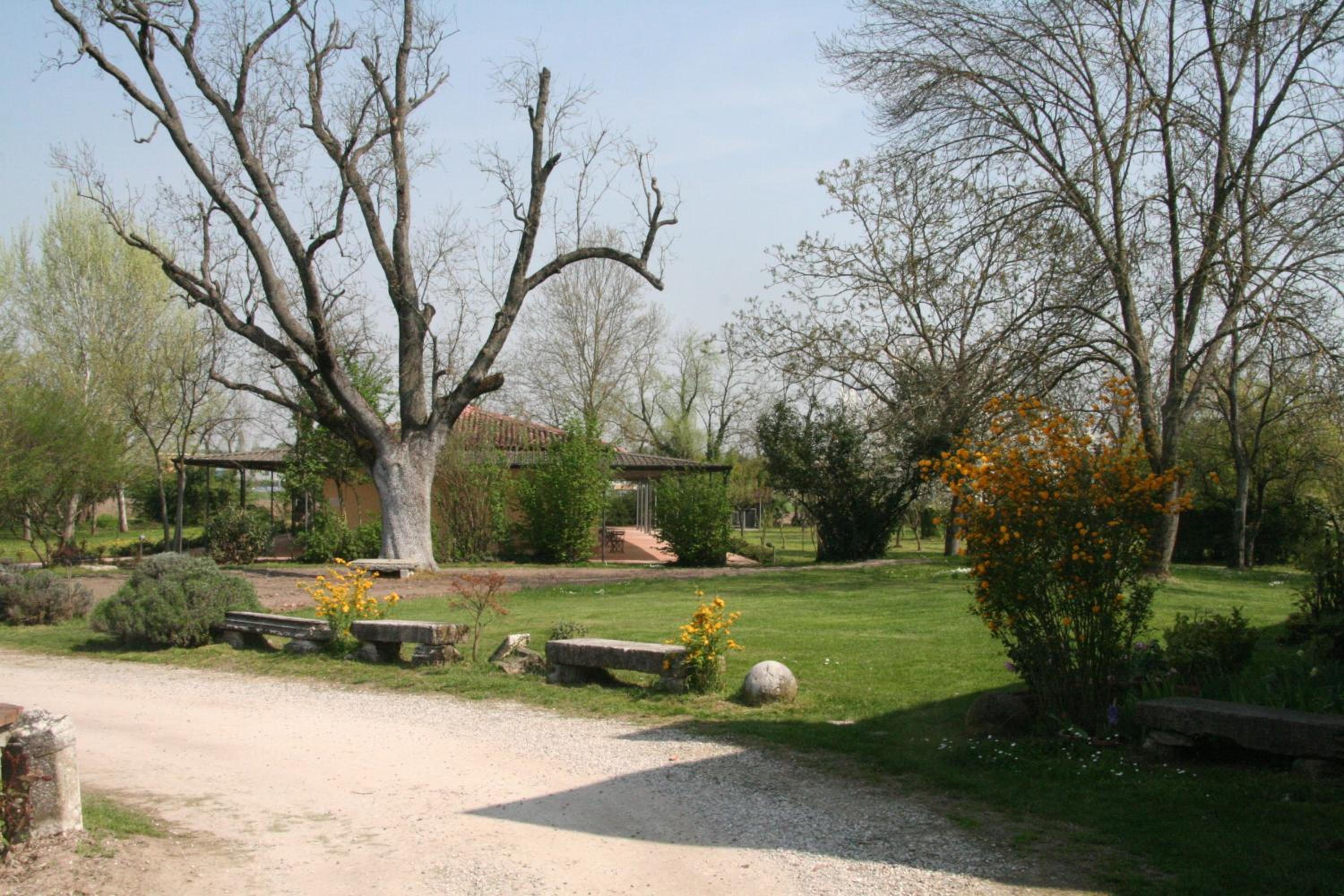 Photo 47