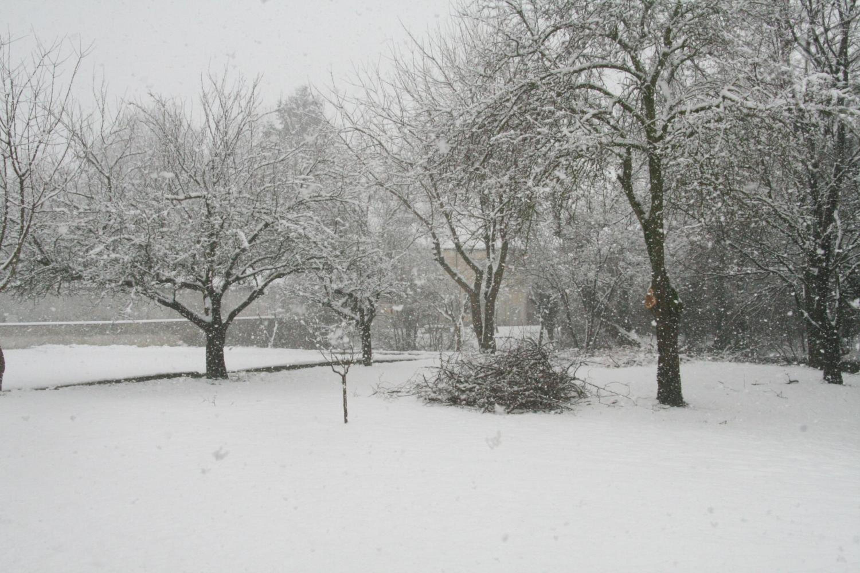 Photo 45
