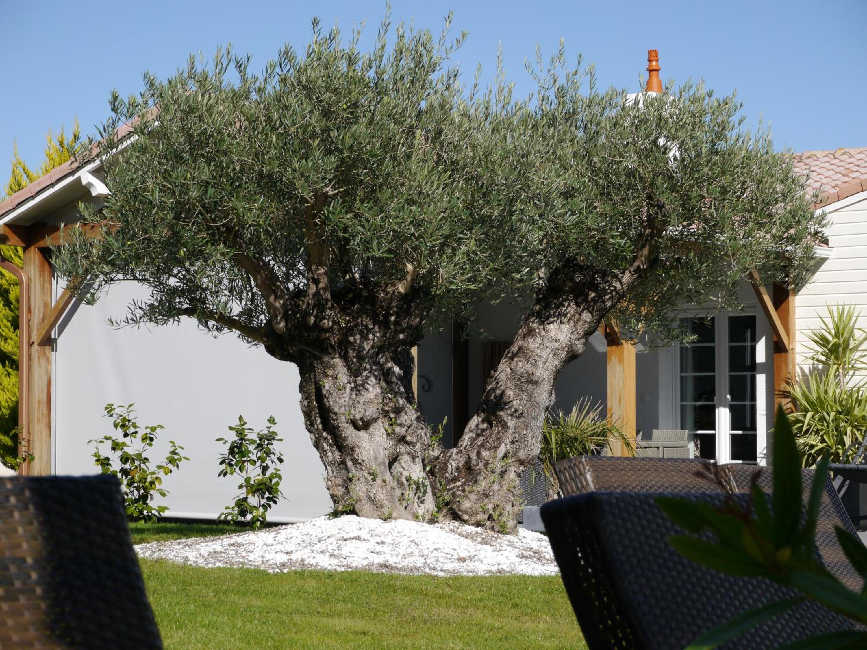 Une Escale à Pornic chambres d'hôtes 4 épis, photo 37