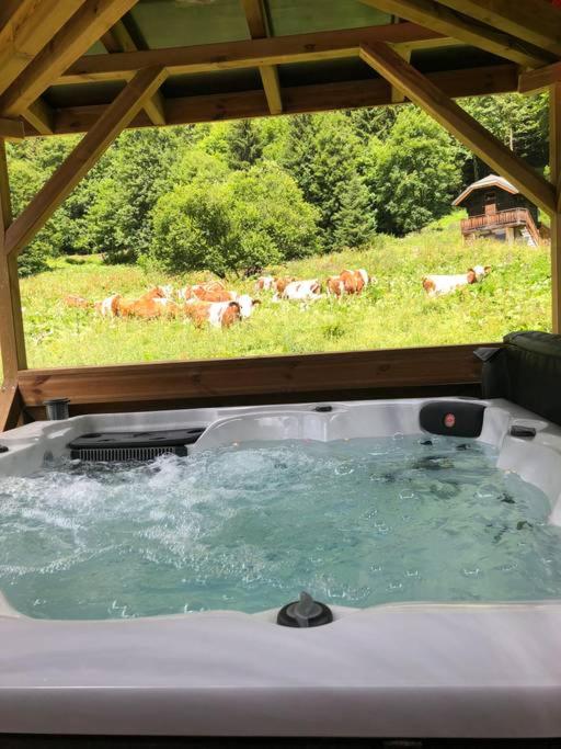Chalet La Grange à Germaine - Propriétés Mont Amour