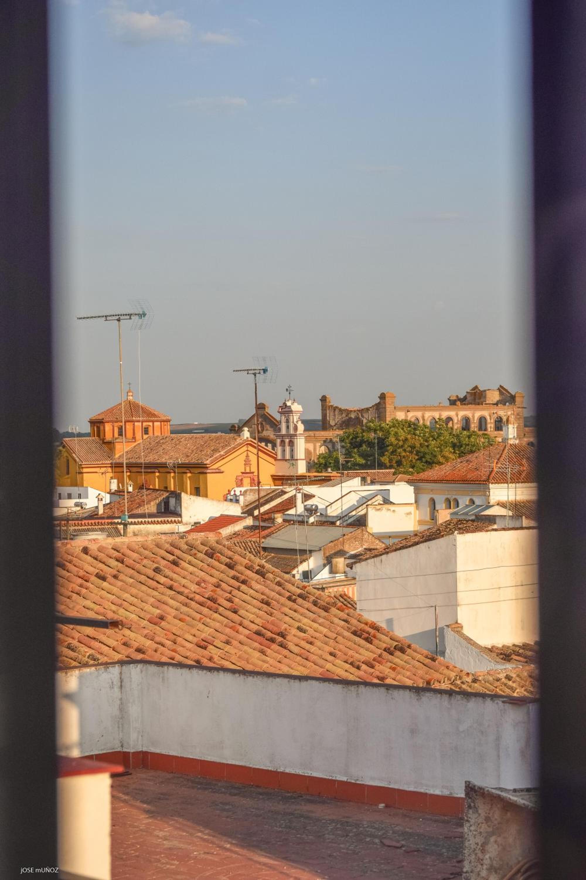 roof